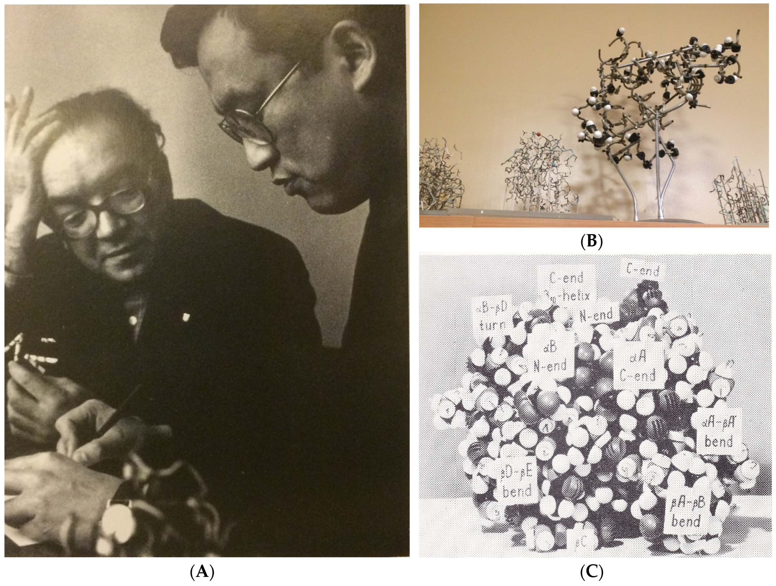 Biomolecules 10 00910 g002