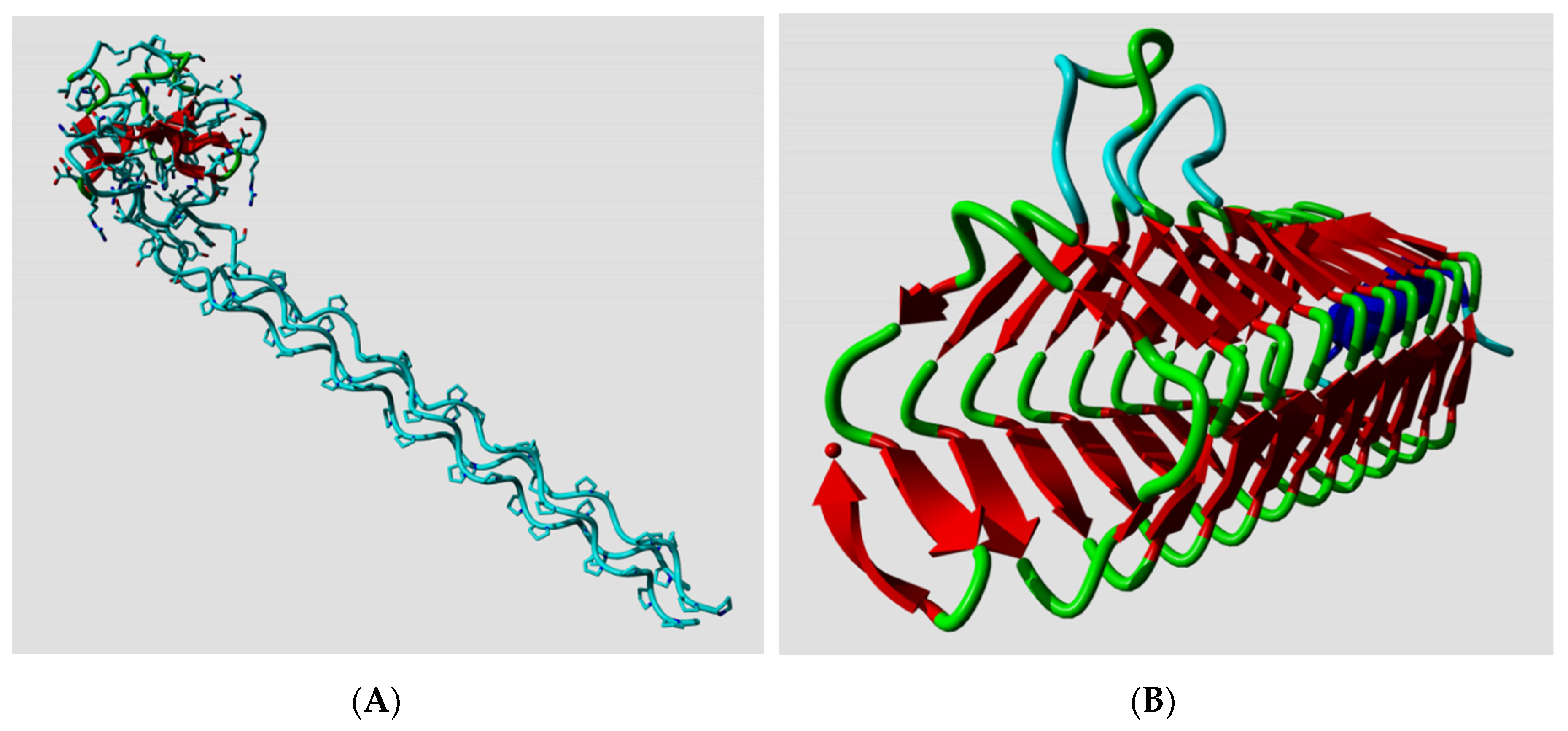 Biomolecules 10 00910 g005