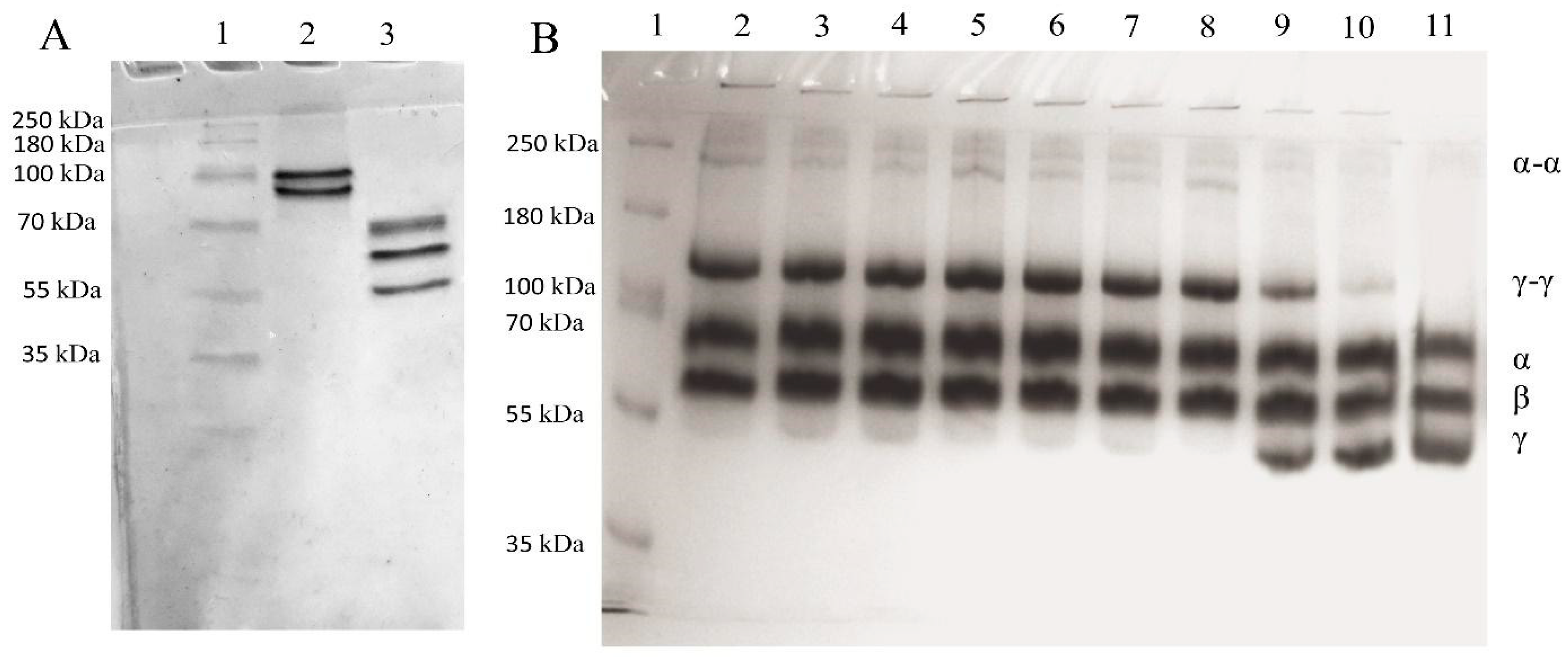Biomolecules 10 00914 g001