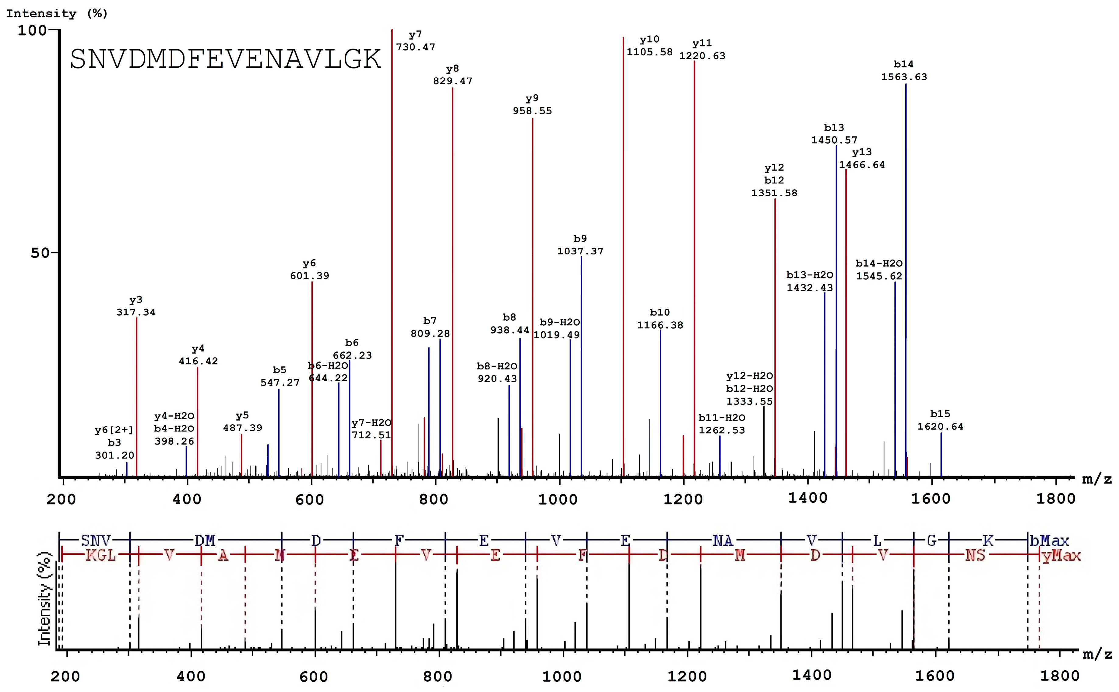 Biomolecules 10 00914 g003