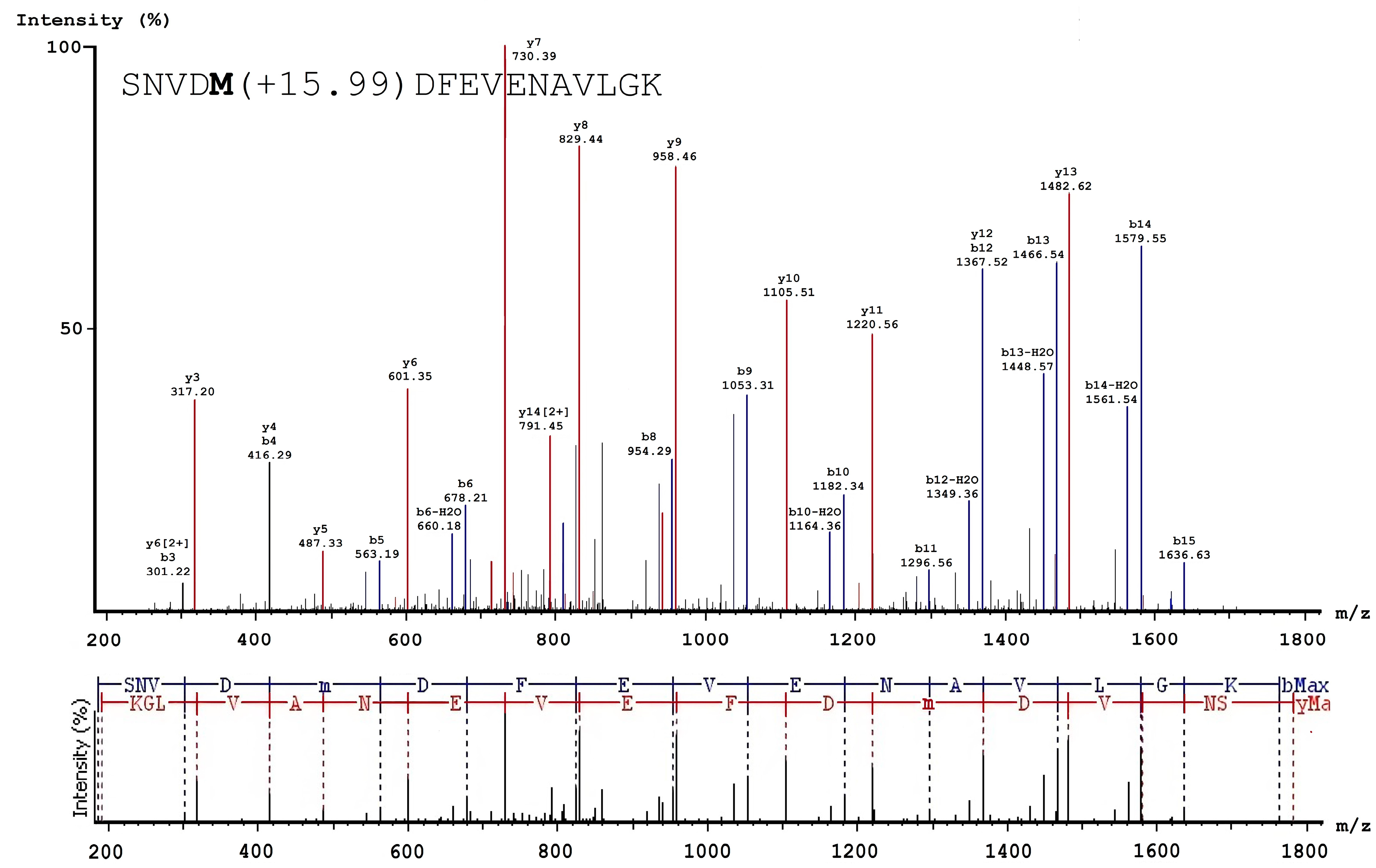 Biomolecules 10 00914 g004