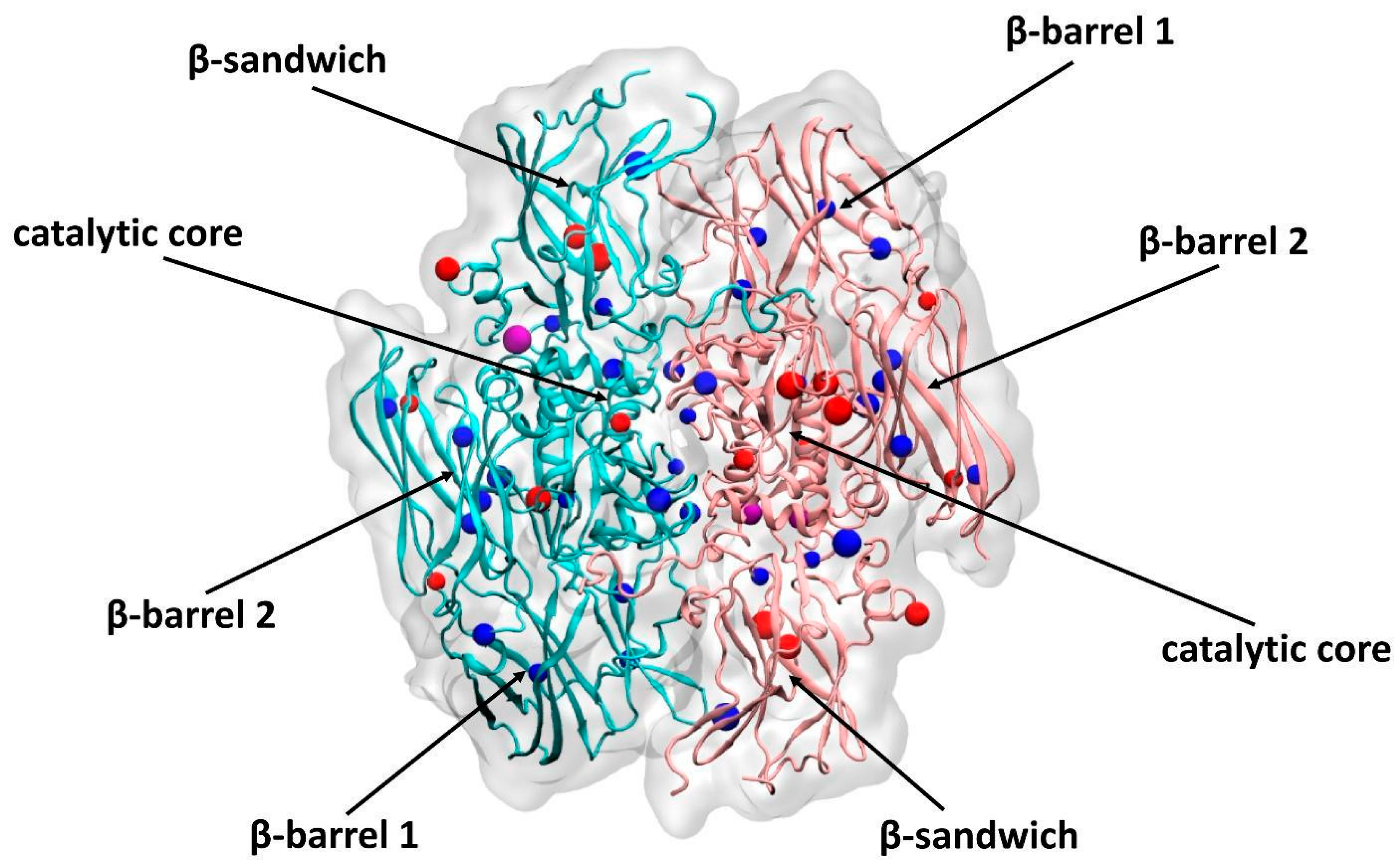 Biomolecules 10 00914 g007