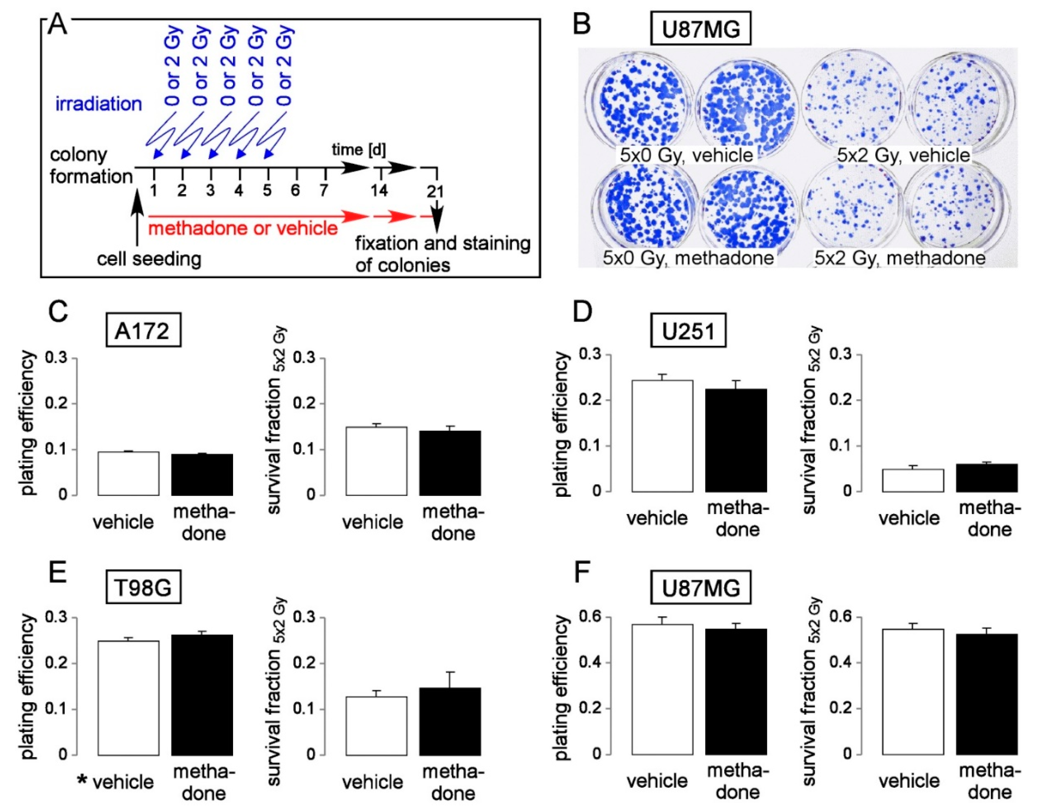 Biomolecules 10 00917 g005 Biomolecules 10 00917 g005
