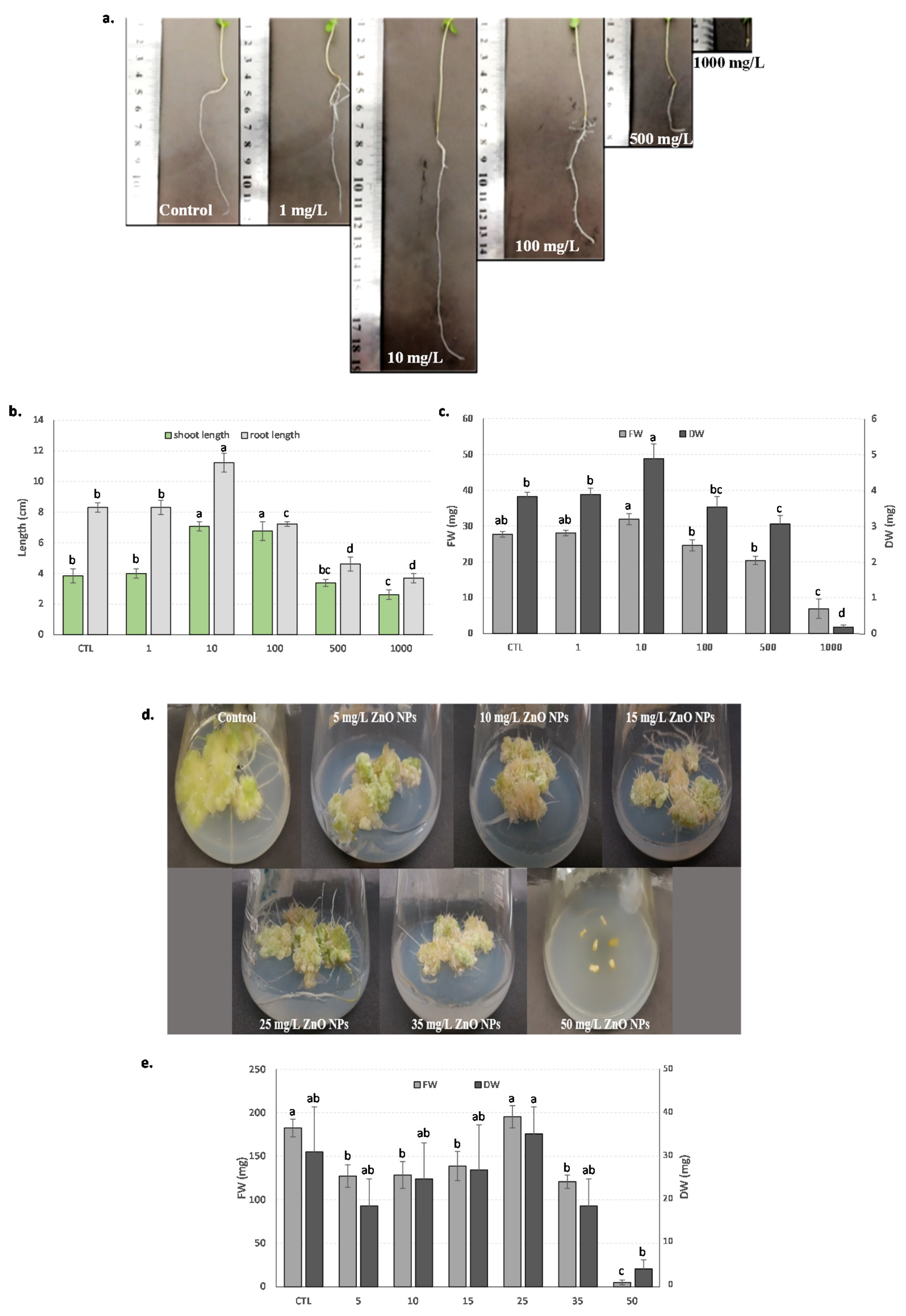 Biomolecules 10 00918 g001 Biomolecules 10 00918 g001