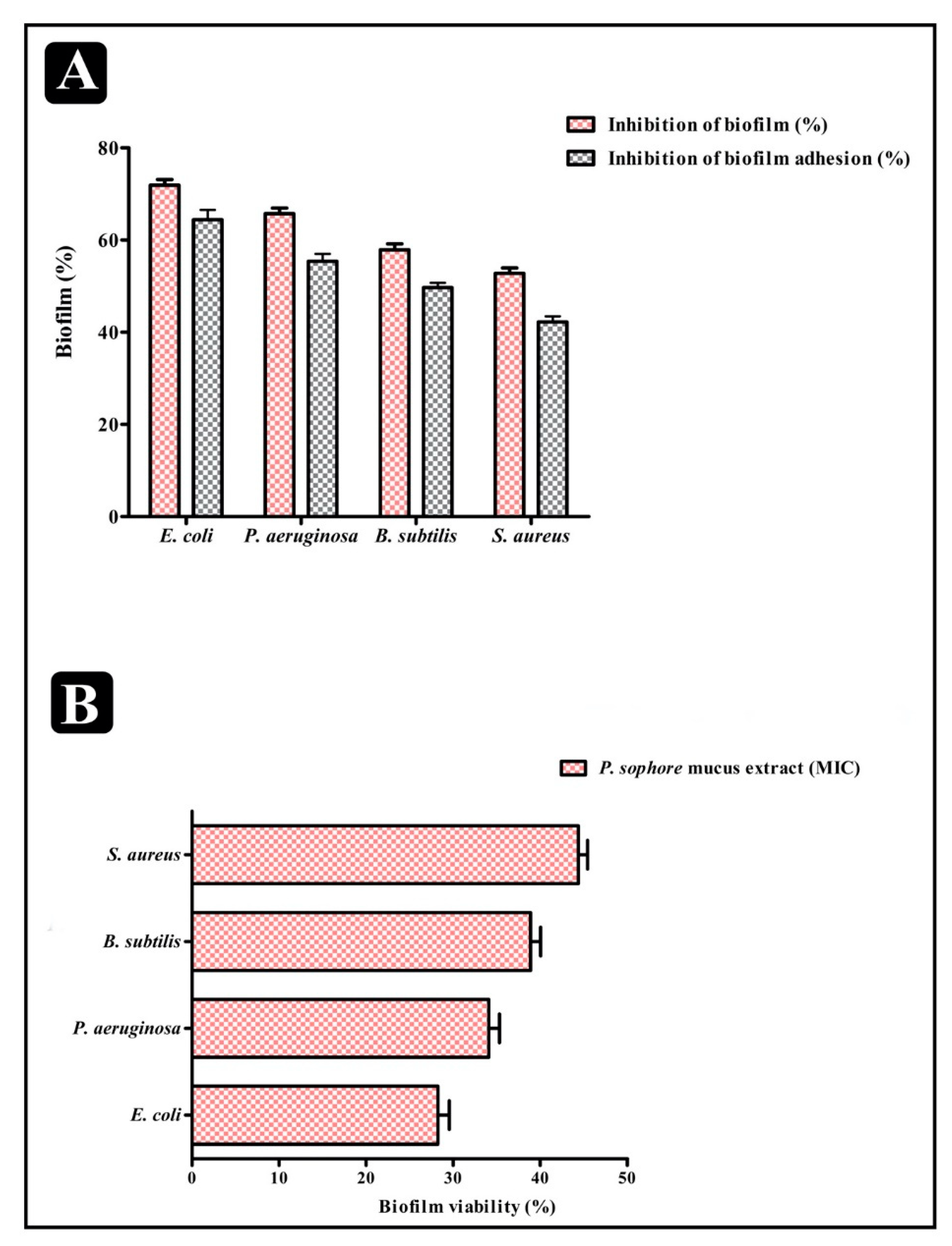 Biomolecules 10 00920 g004