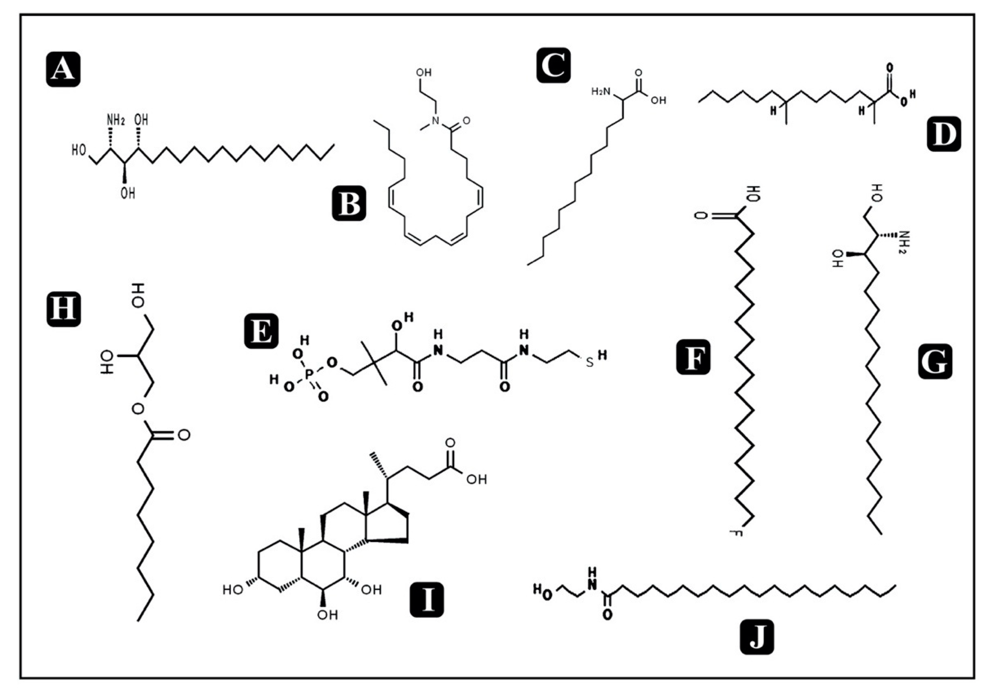 Biomolecules 10 00920 g011