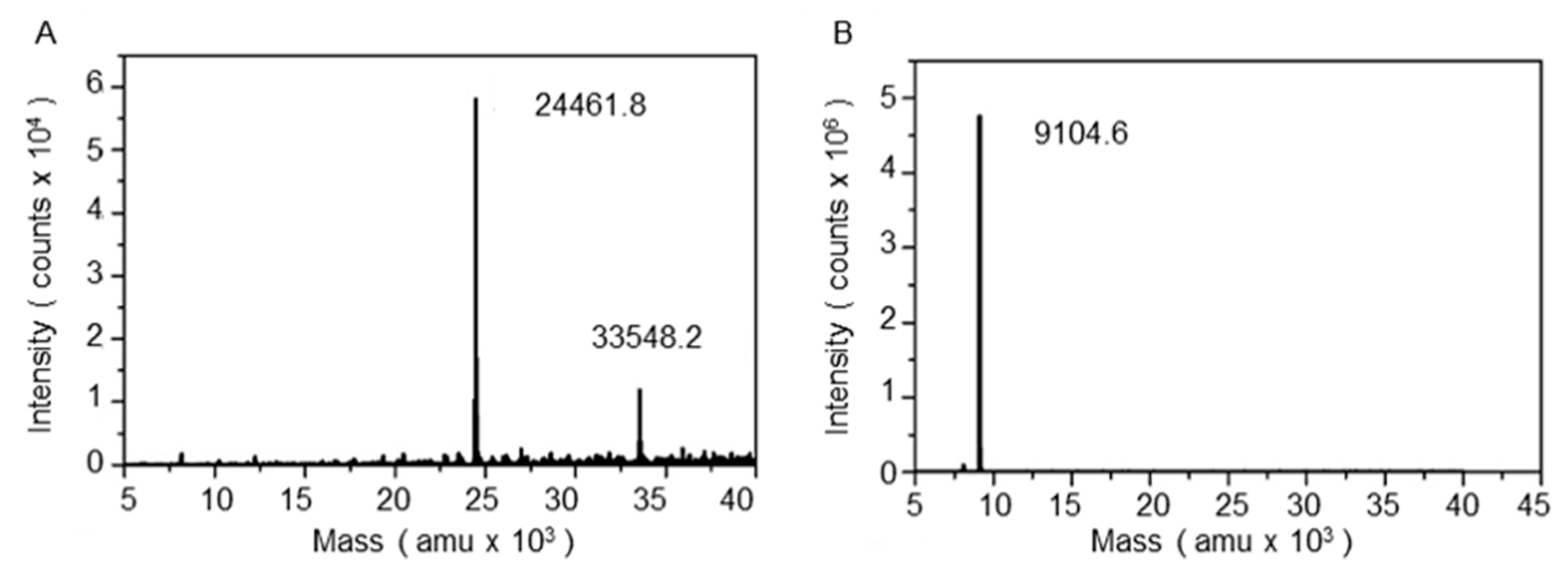 Biomolecules 10 00922 g003 Biomolecules 10 00922 g003