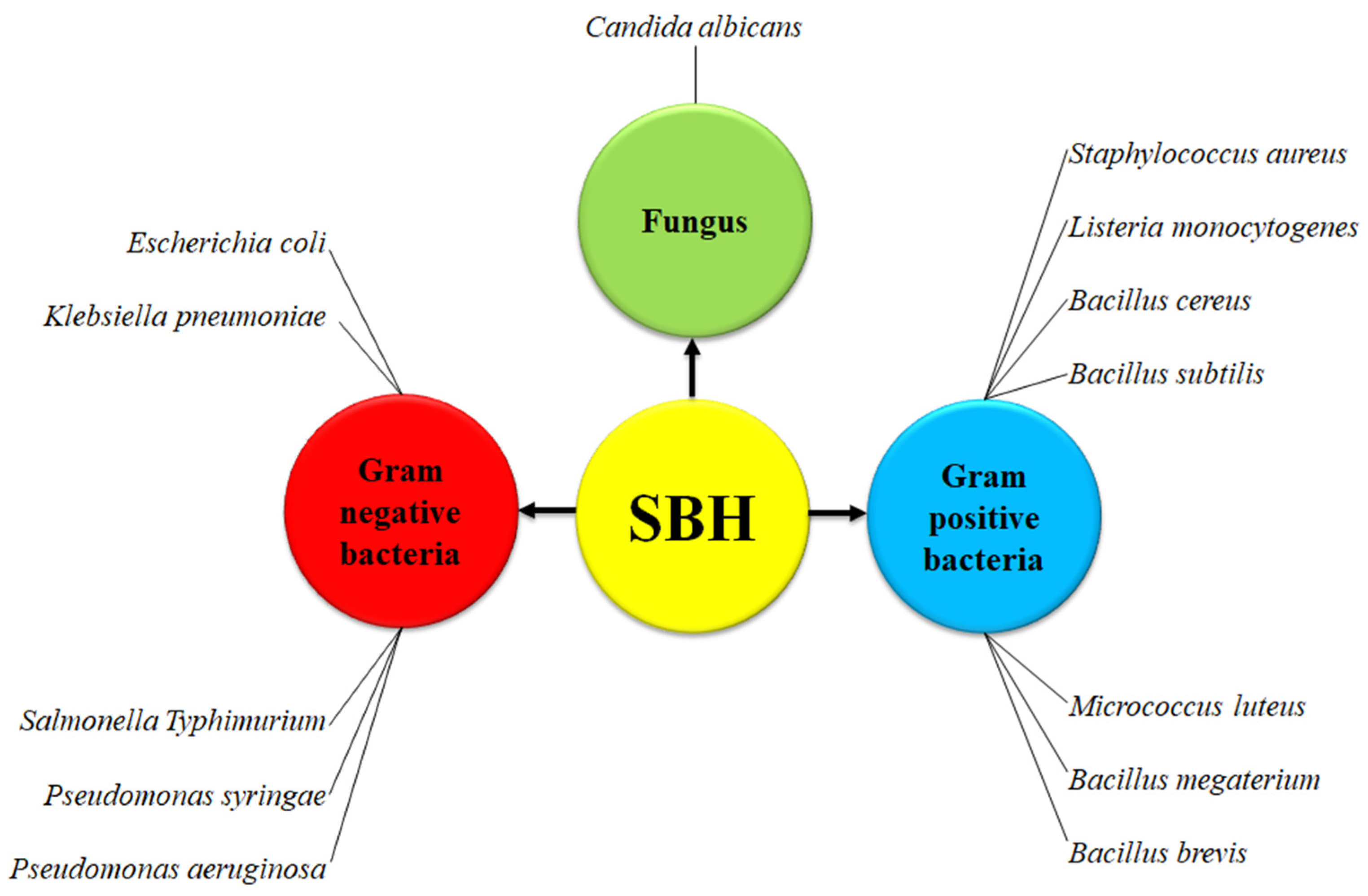 Biomolecules 10 00923 g009 Biomolecules 10 00923 g009