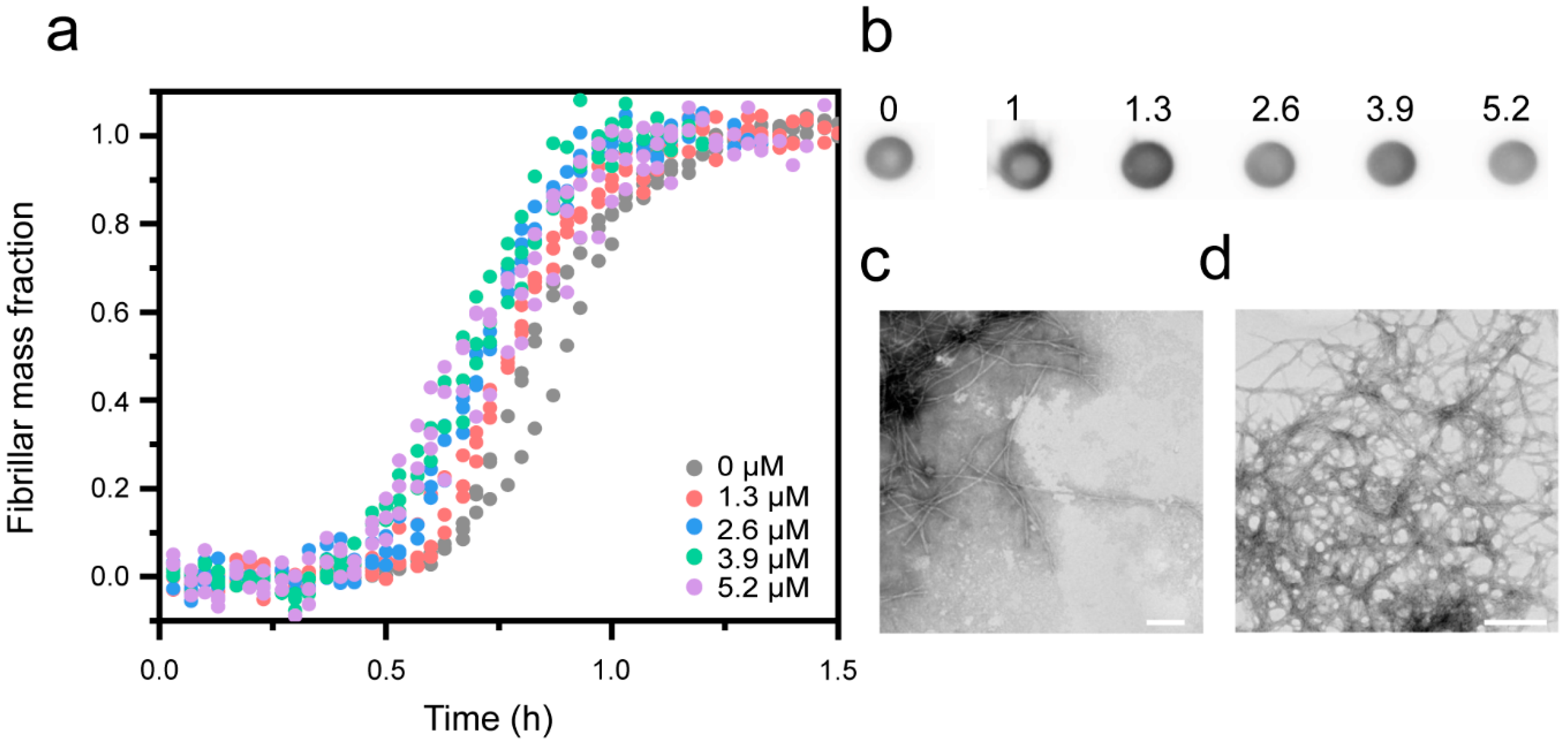 Biomolecules 10 00924 g006