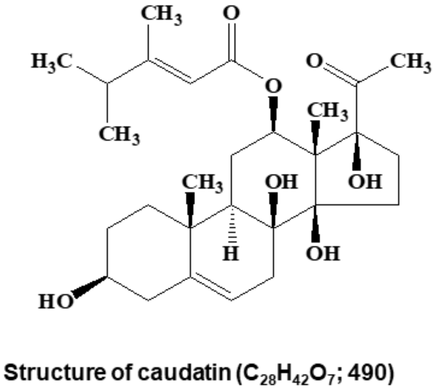 Biomolecules 10 00925 g002