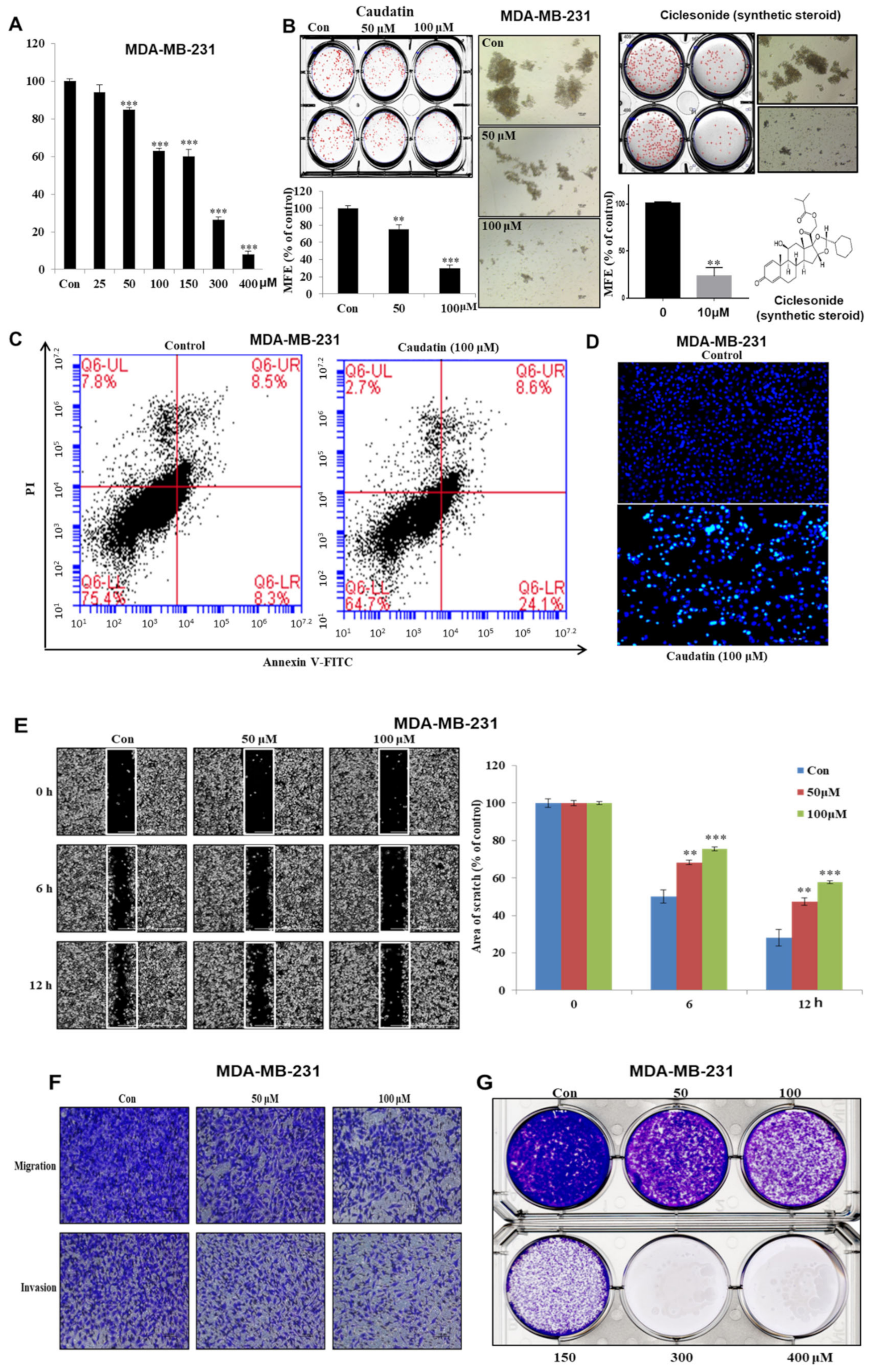 Biomolecules 10 00925 g003