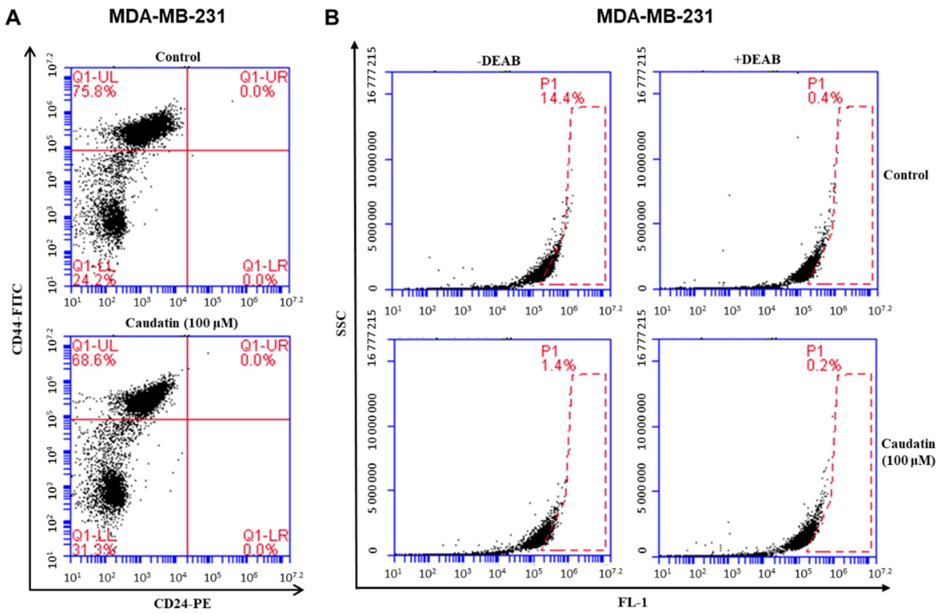 Biomolecules 10 00925 g005