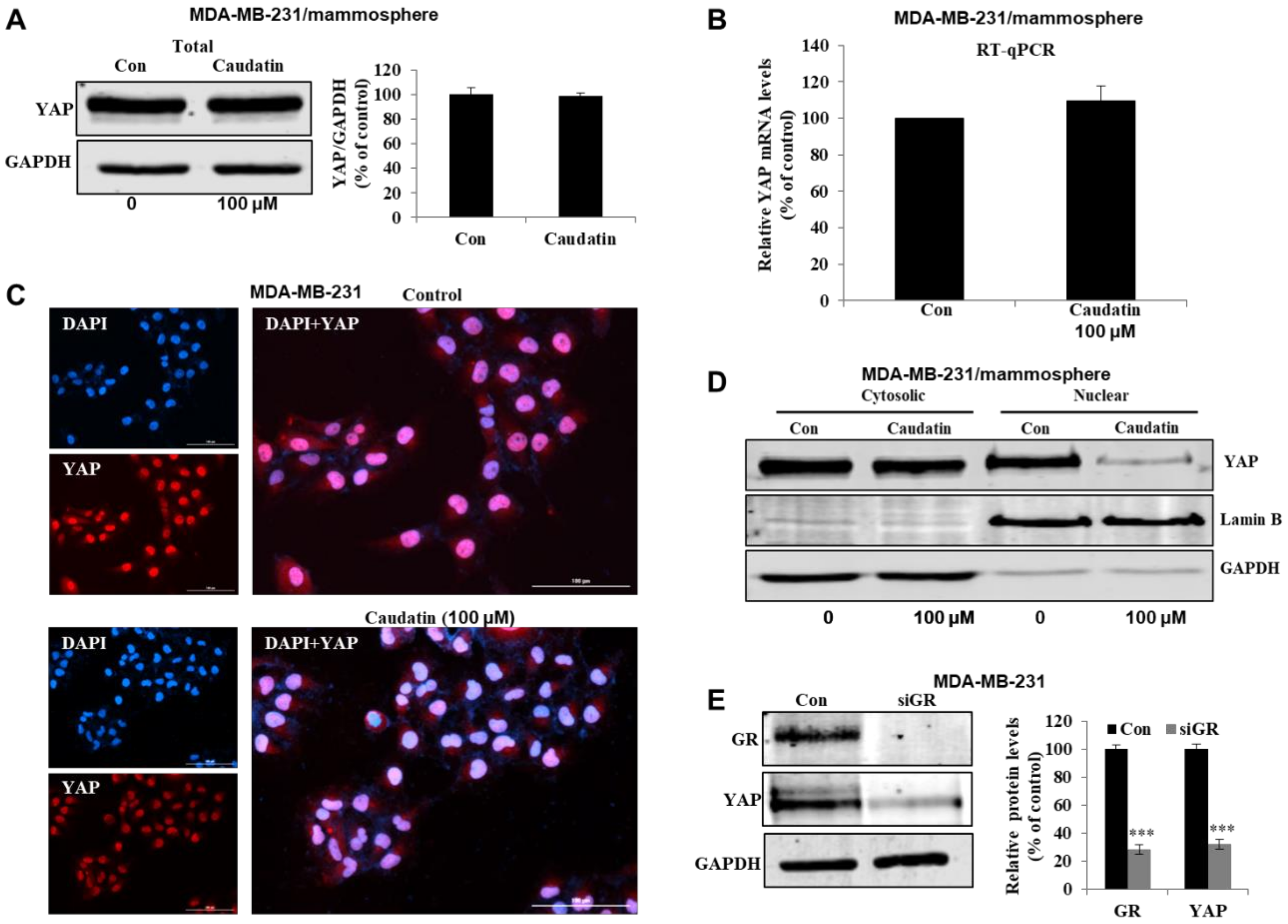 Biomolecules 10 00925 g007a