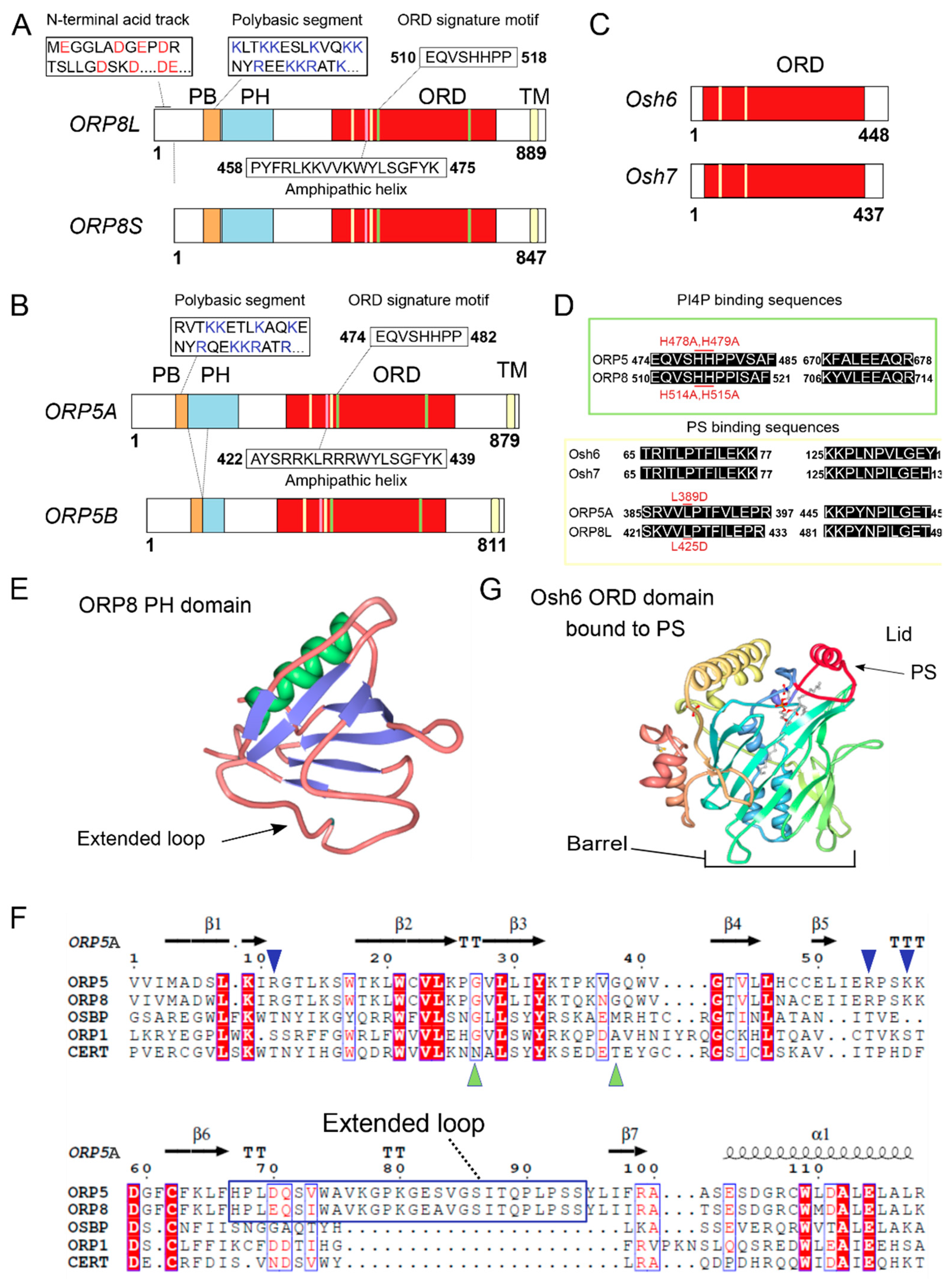 Biomolecules 10 00928 g001