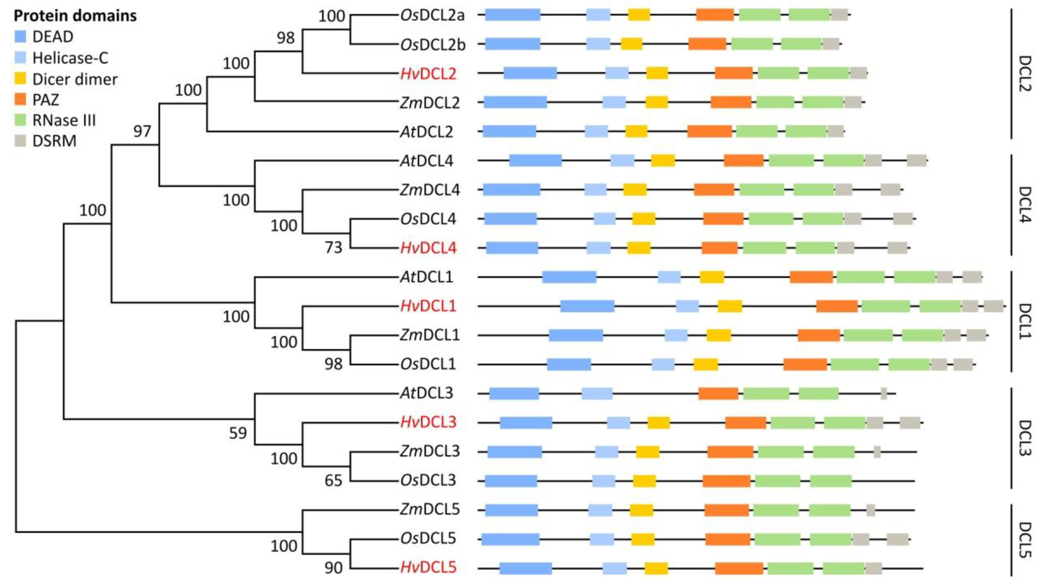 Biomolecules 10 00929 g002 Biomolecules 10 00929 g002