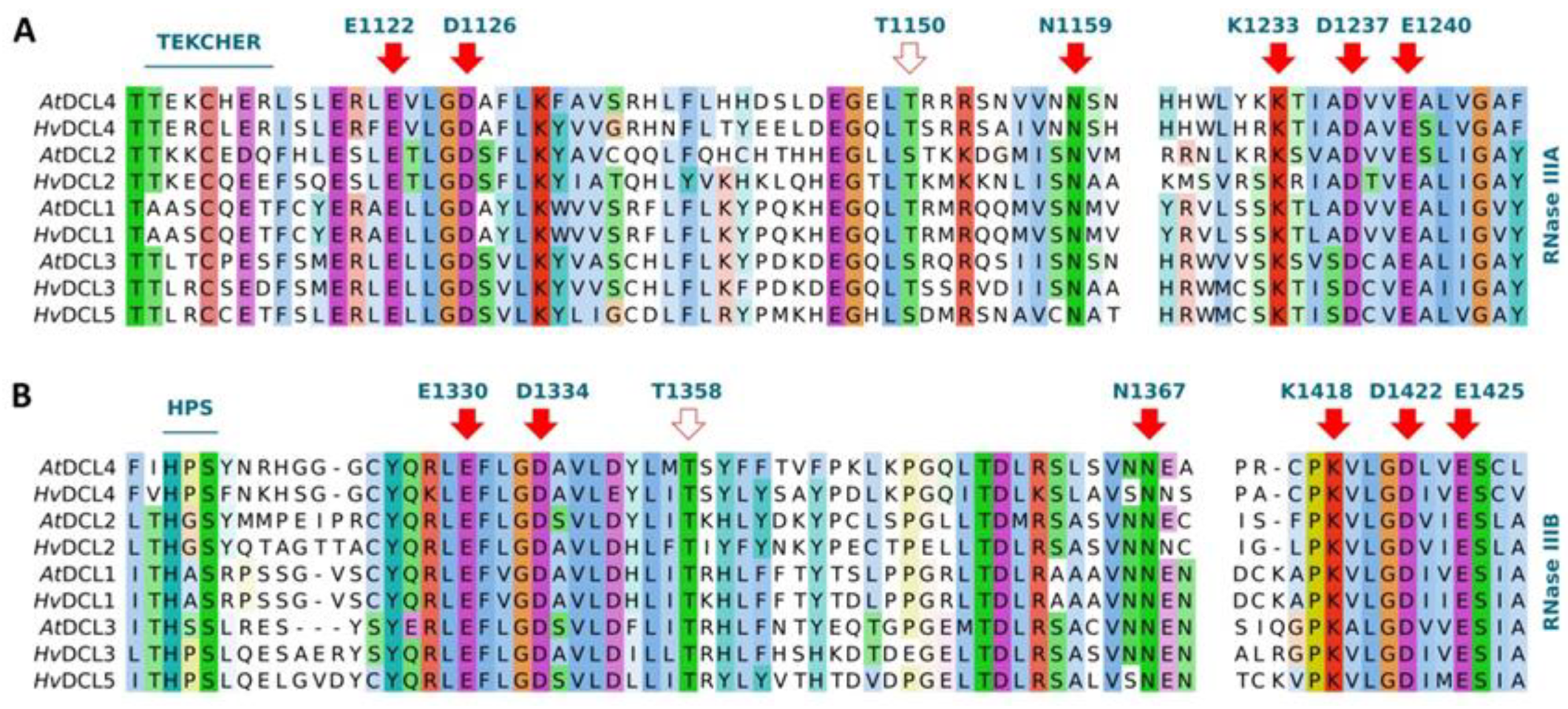 Biomolecules 10 00929 g005 Biomolecules 10 00929 g005
