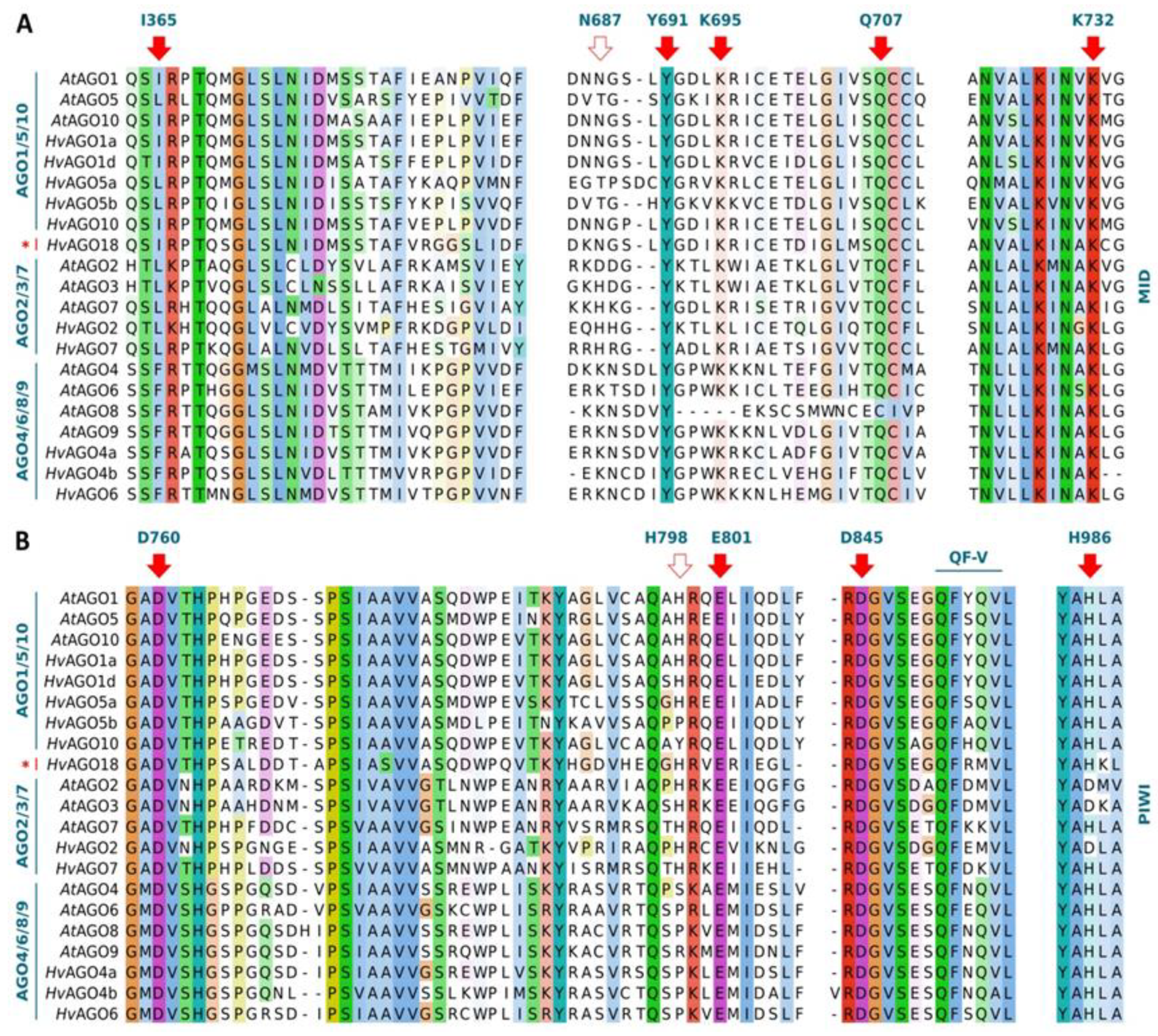 Biomolecules 10 00929 g006 Biomolecules 10 00929 g006
