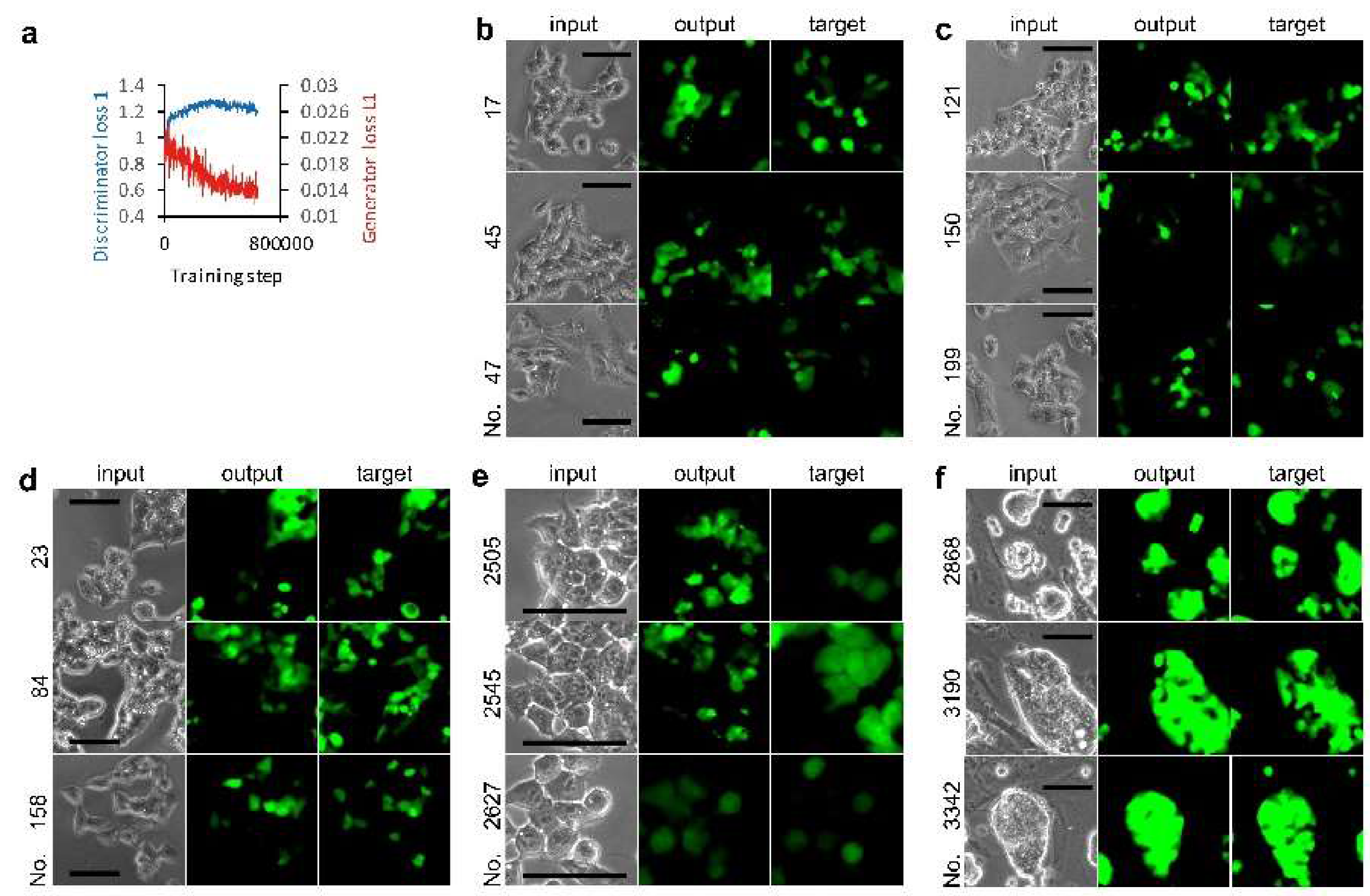 Biomolecules 10 00931 g002