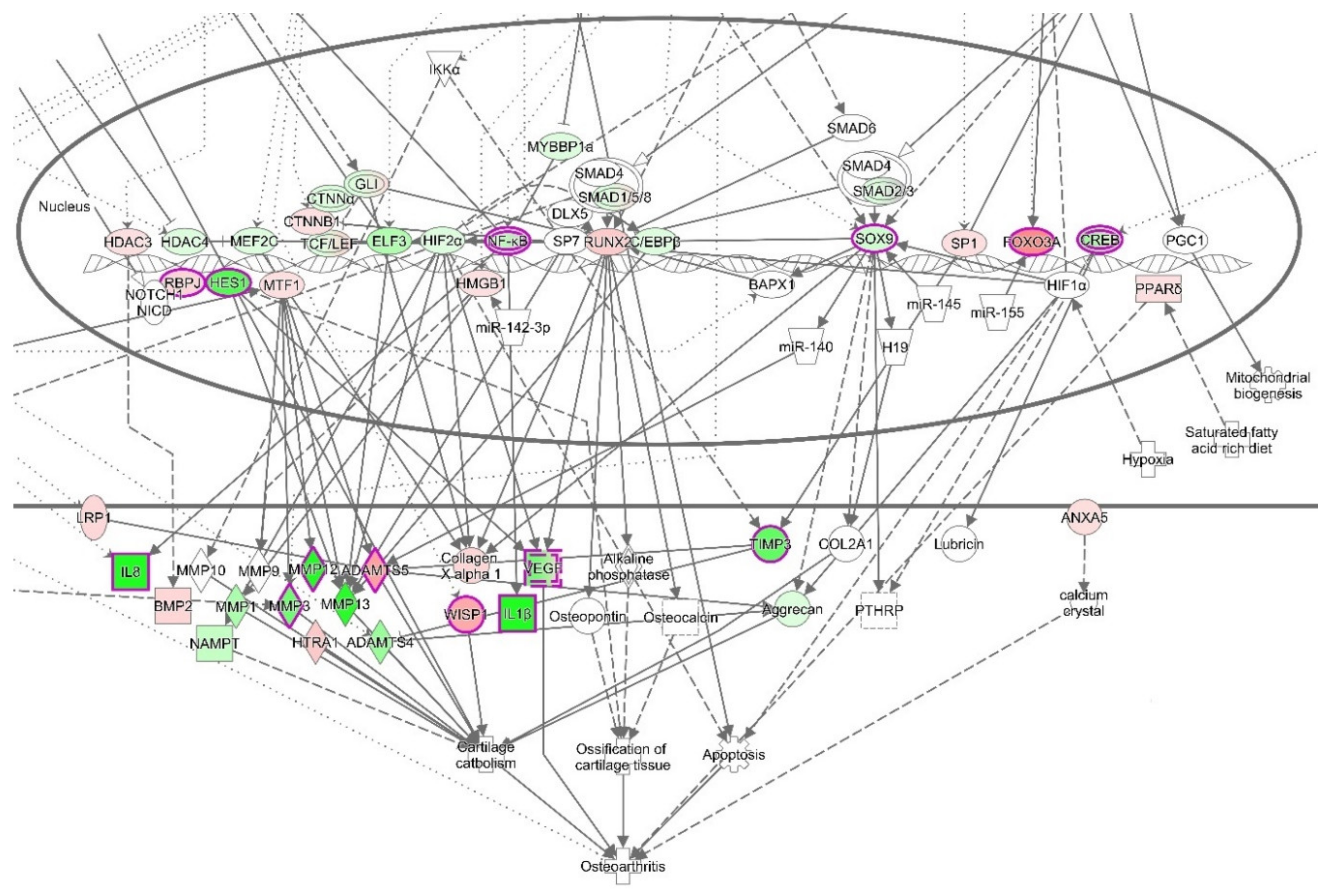 Biomolecules 10 00932 g006 Biomolecules 10 00932 g006