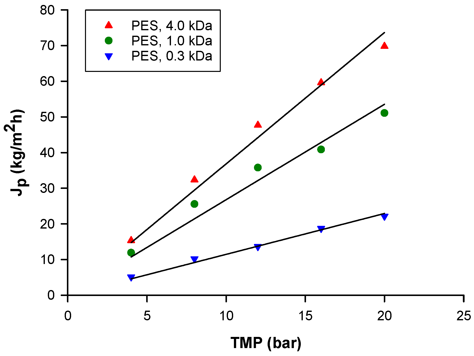 Biomolecules 10 00935 g006