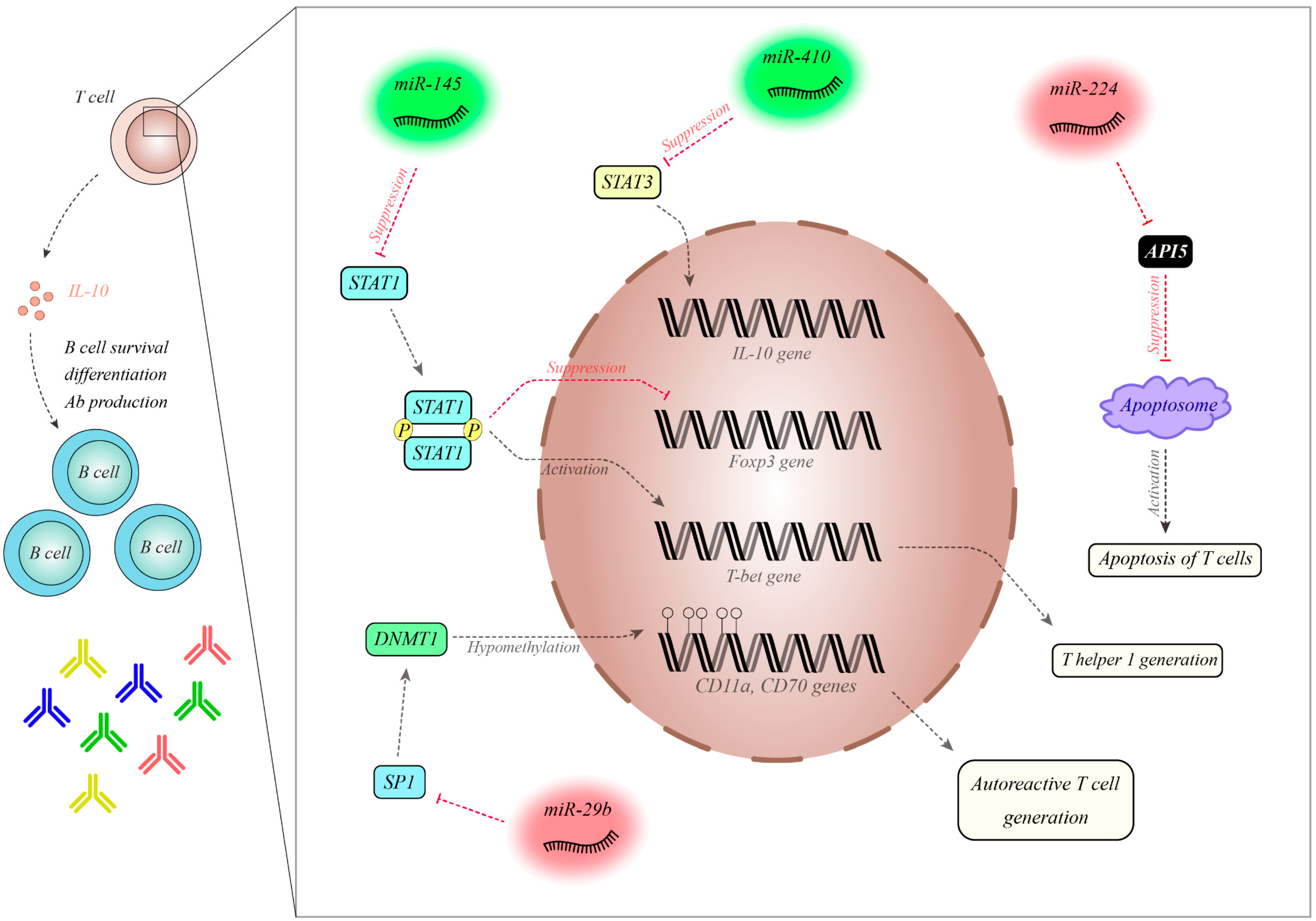 Biomolecules 10 00937 g002