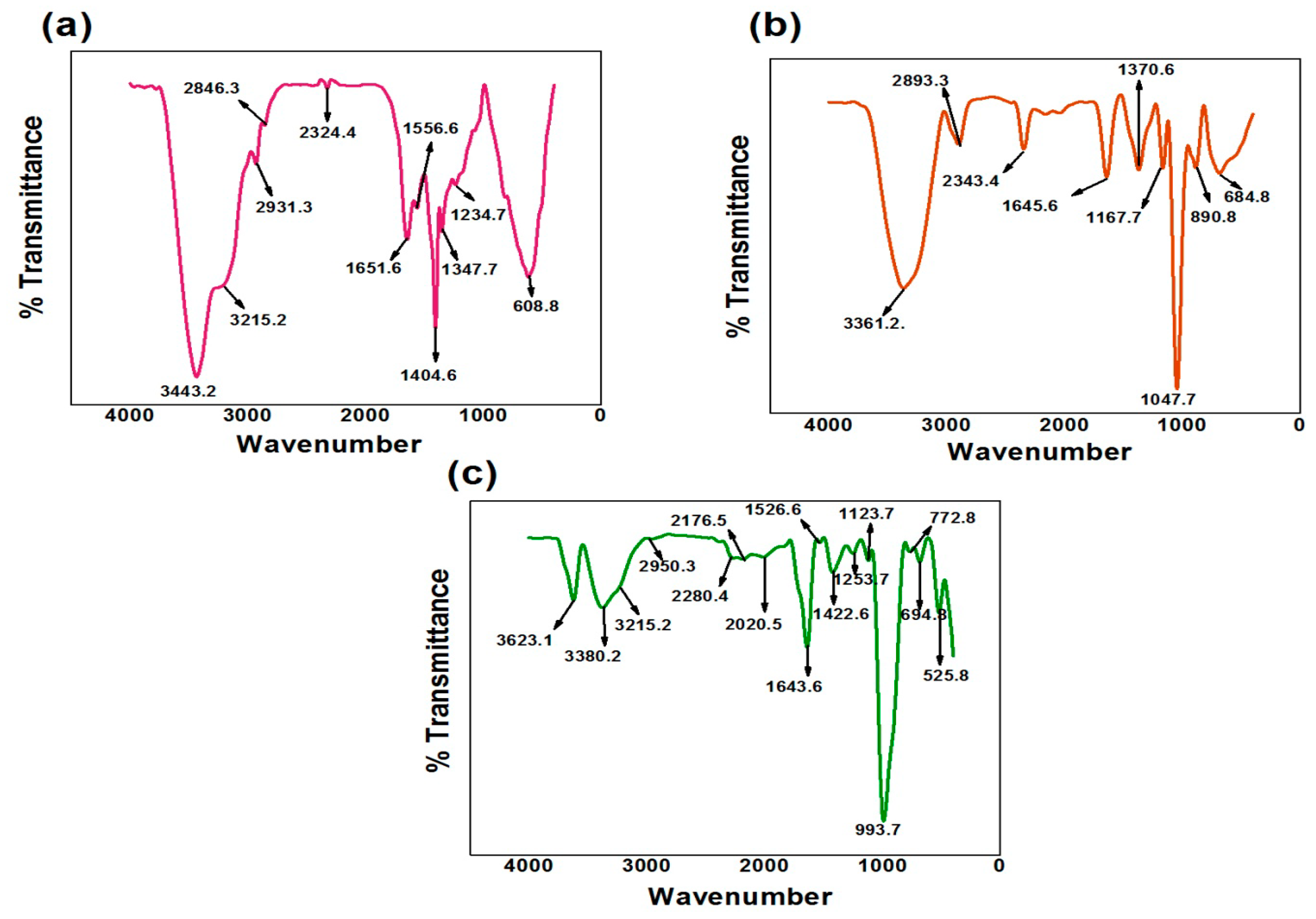 Biomolecules 10 00939 g002