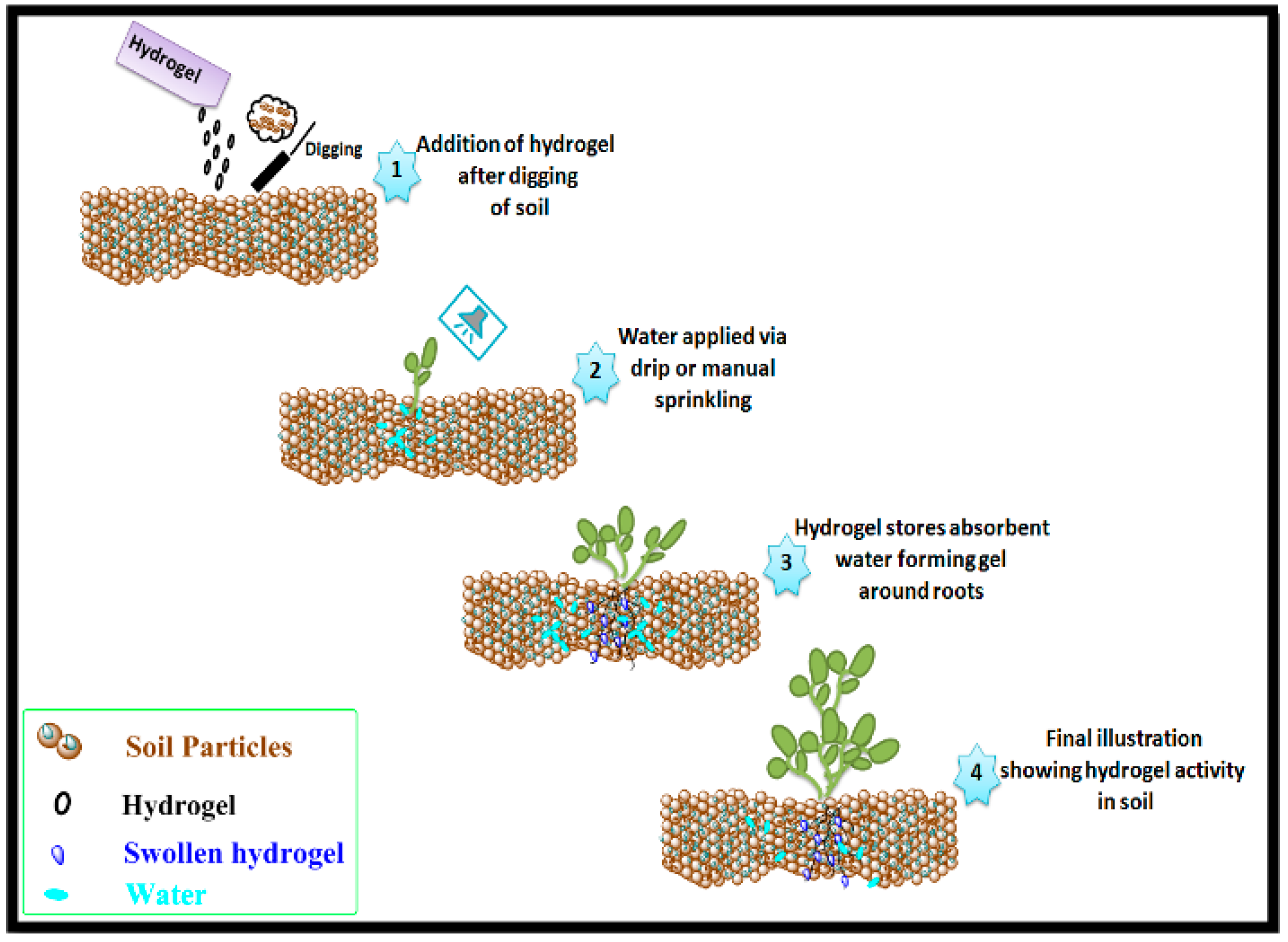 Biomolecules 10 00939 sch001