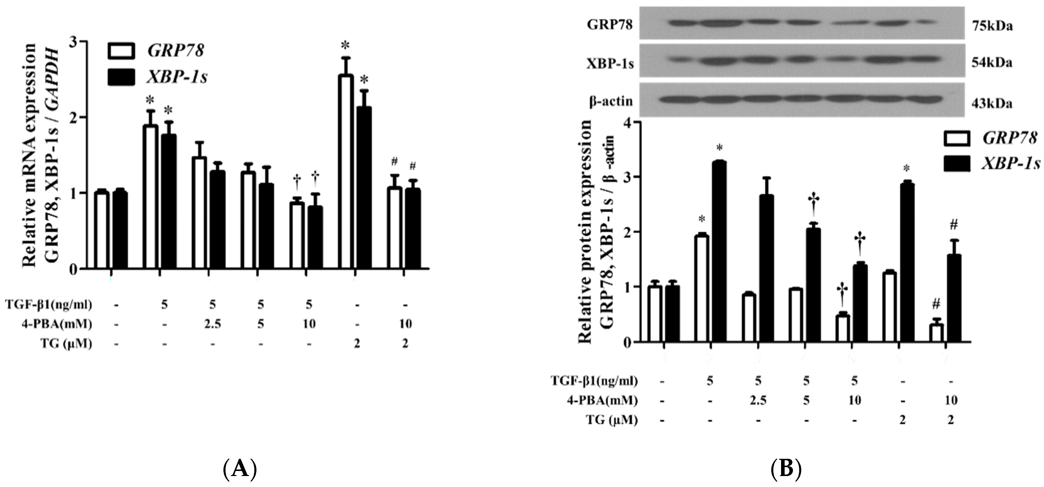 Biomolecules 10 00942 g002 Biomolecules 10 00942 g002