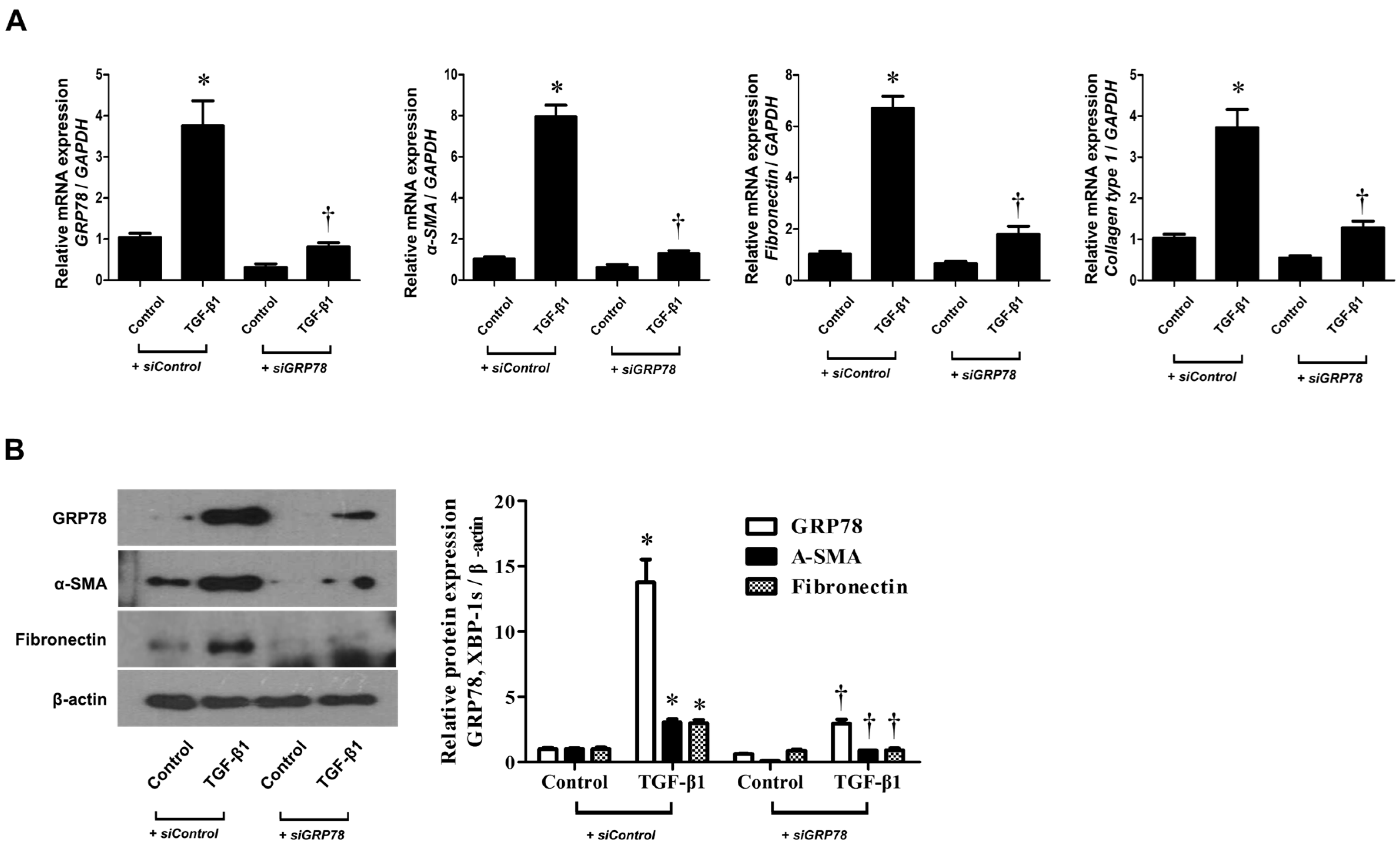 Biomolecules 10 00942 g004 Biomolecules 10 00942 g004