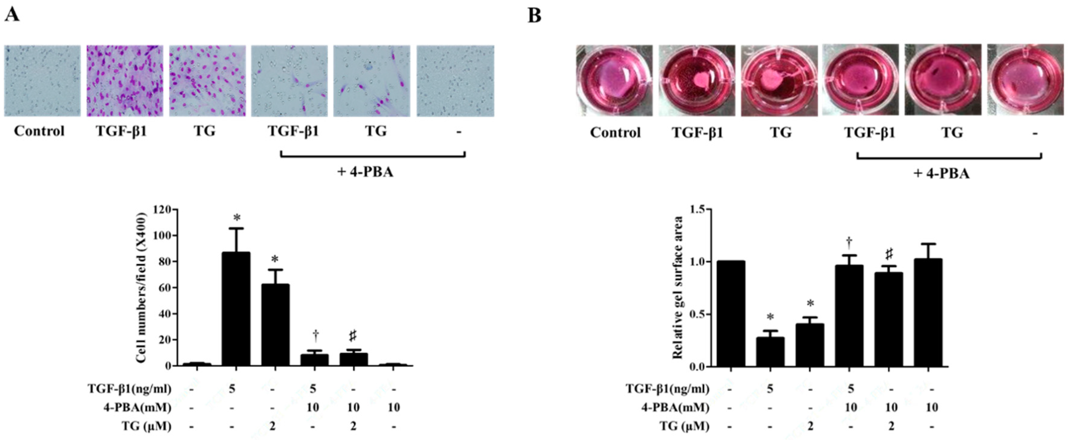 Biomolecules 10 00942 g006 Biomolecules 10 00942 g006