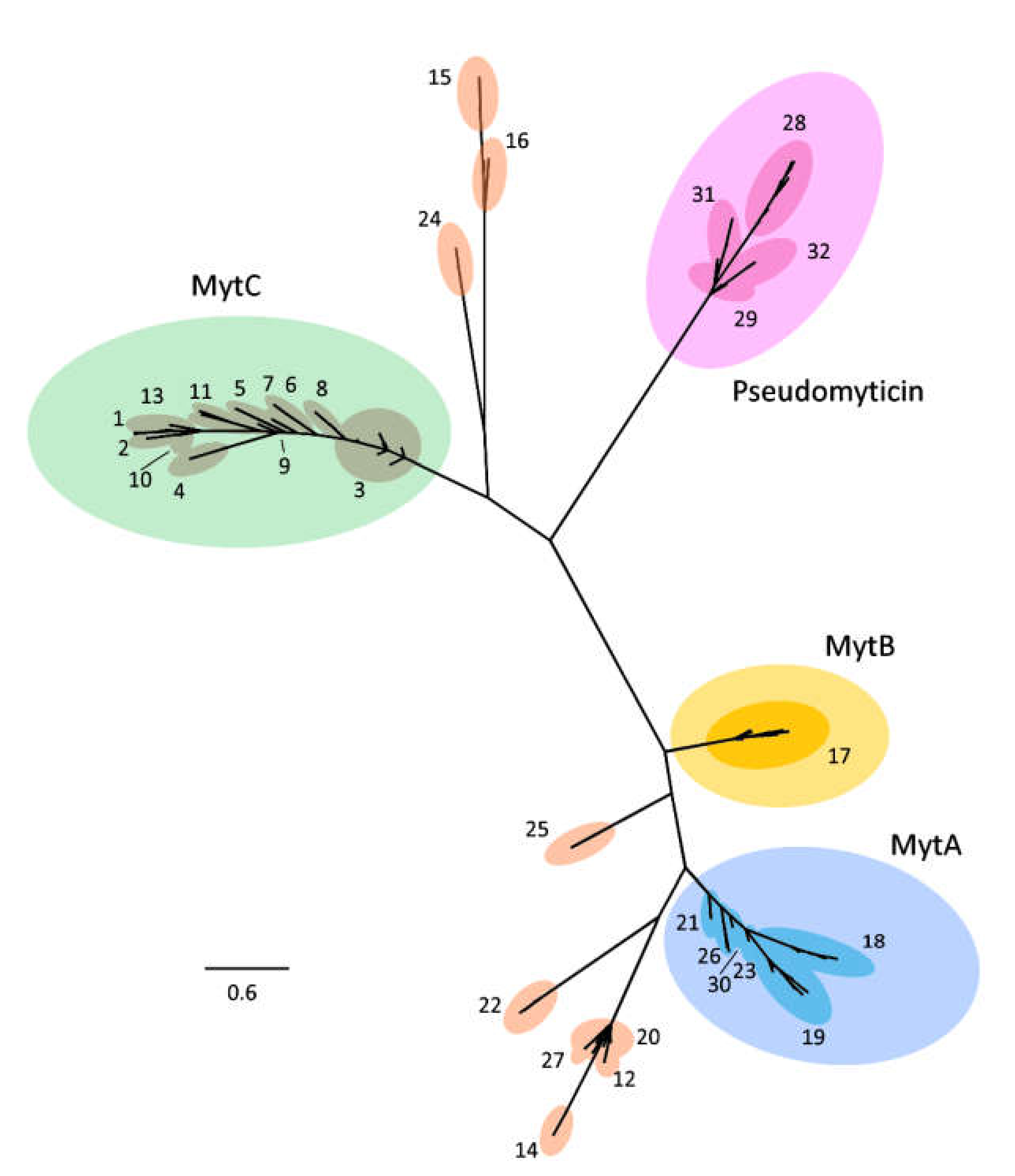 Biomolecules 10 00943 g001