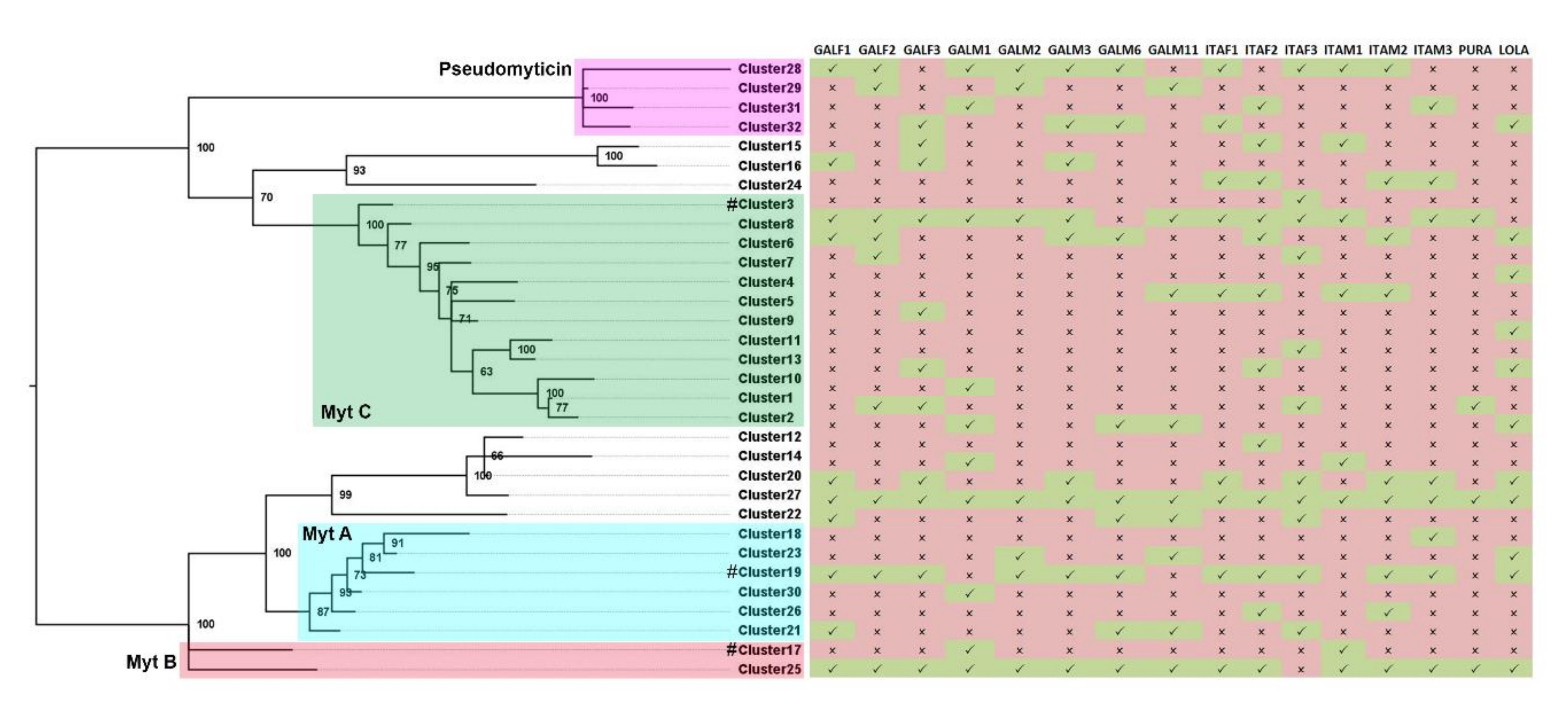 Biomolecules 10 00943 g003