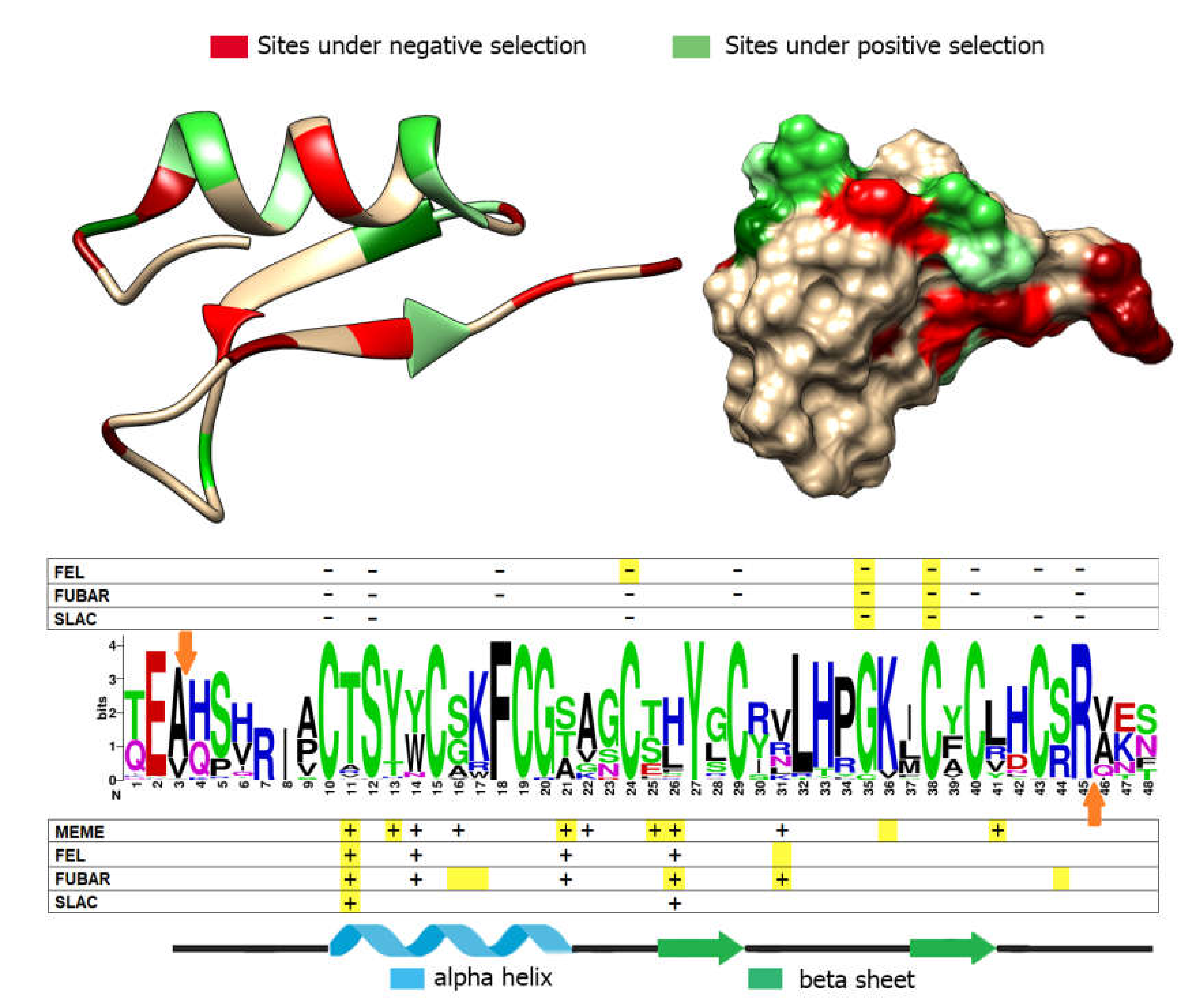 Biomolecules 10 00943 g005