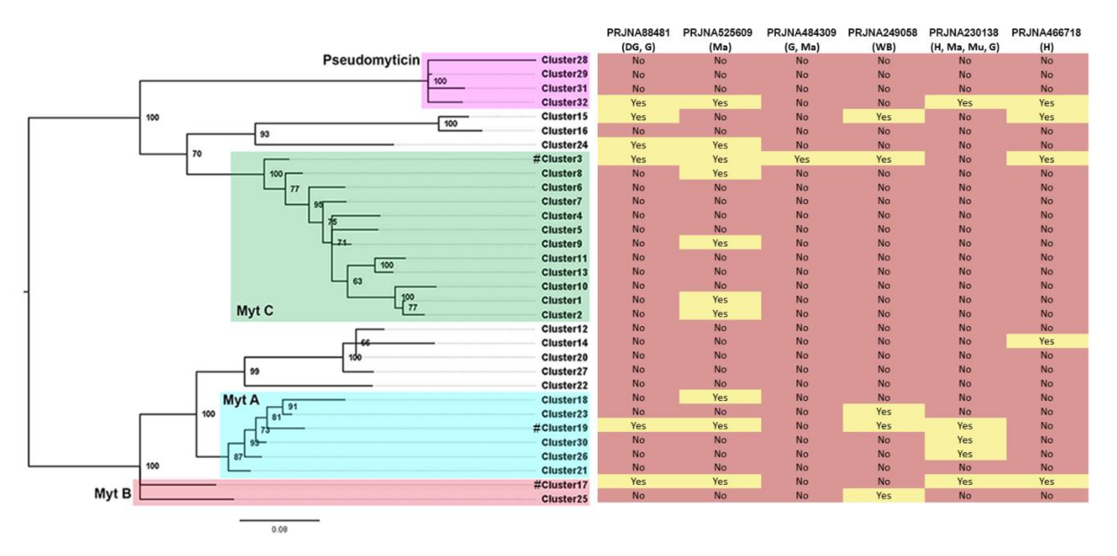 Biomolecules 10 00943 g007