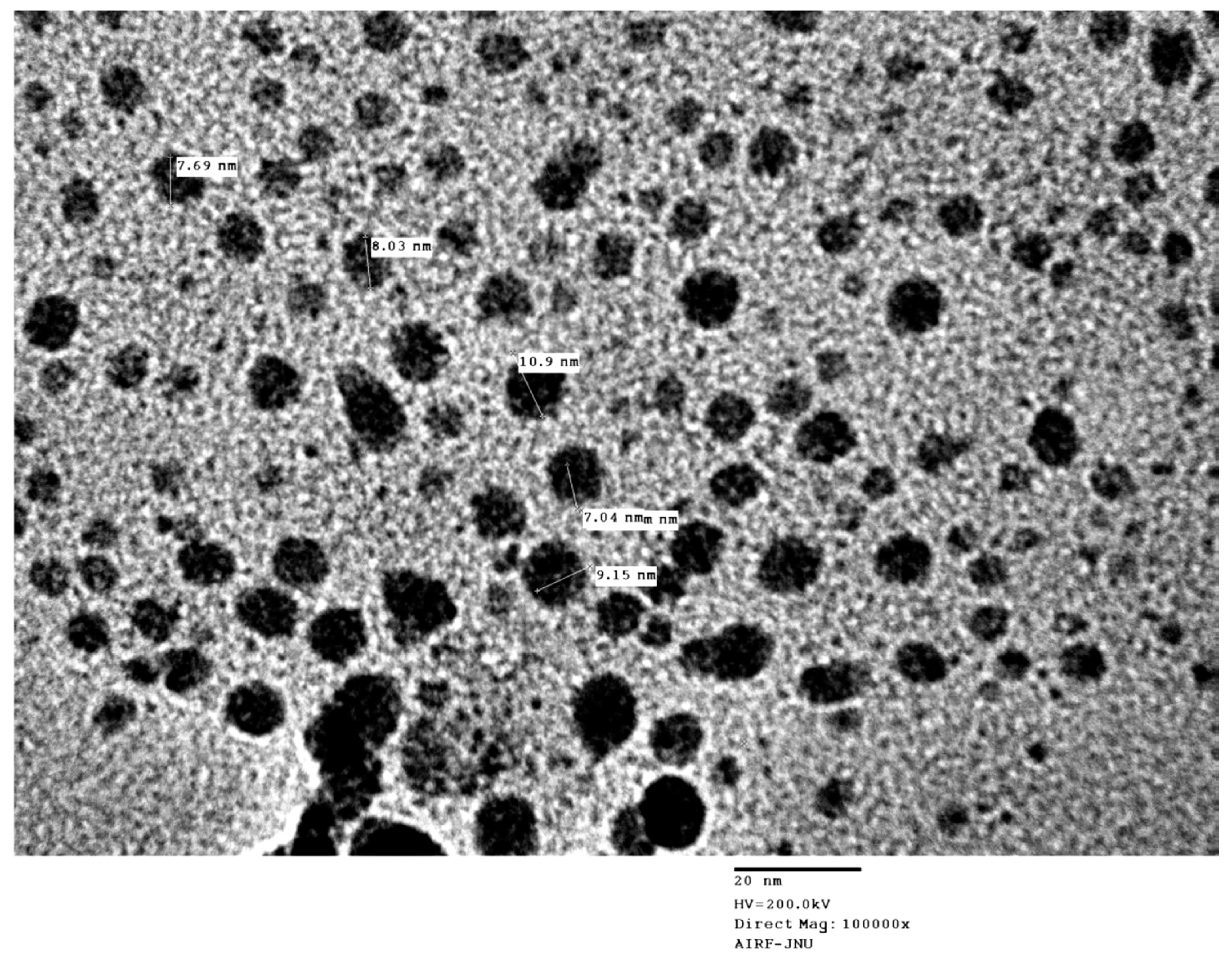 Biomolecules 10 00944 g002 Biomolecules 10 00944 g002