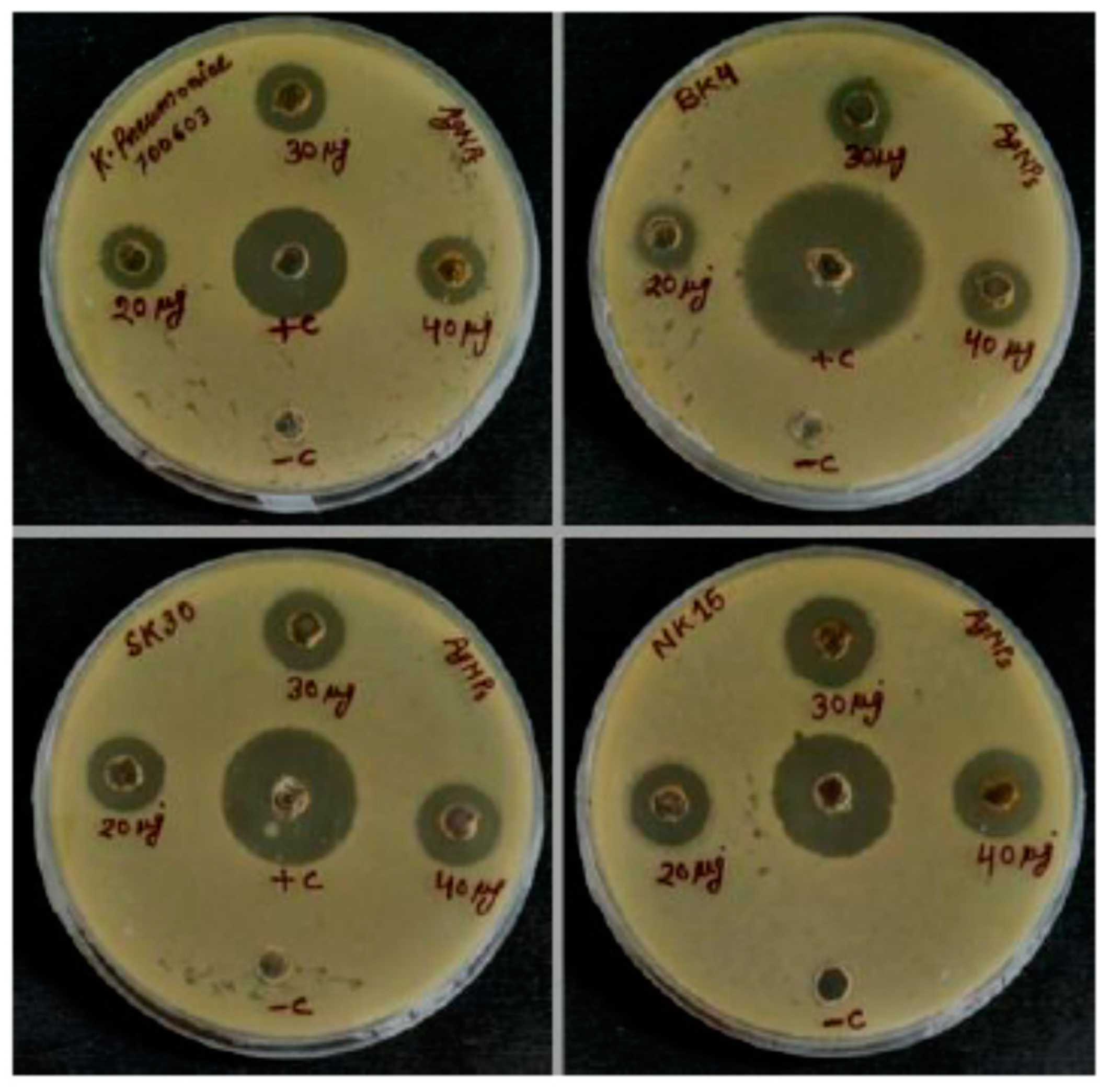 Biomolecules 10 00944 g007 Biomolecules 10 00944 g007