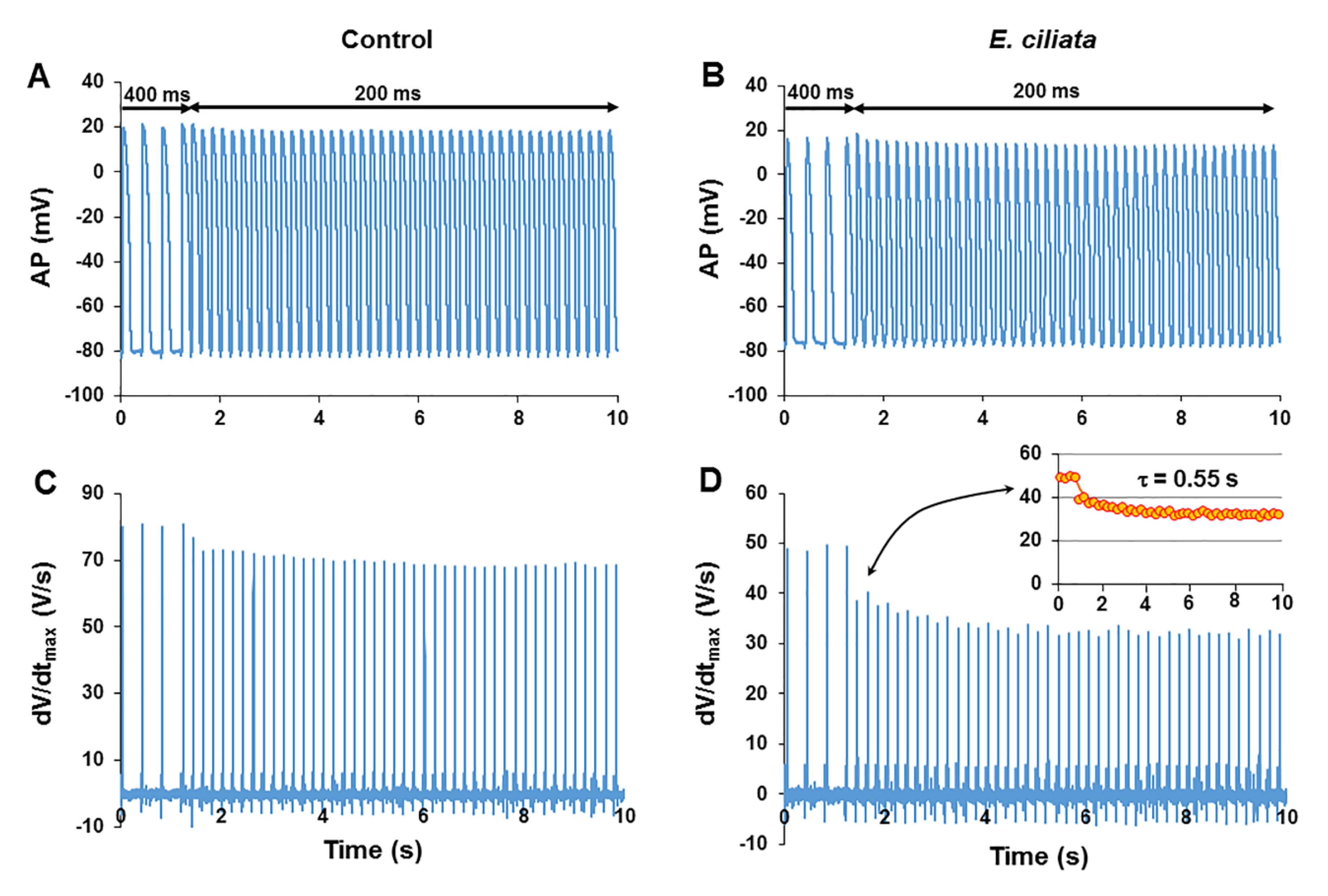 Biomolecules 10 00948 g004