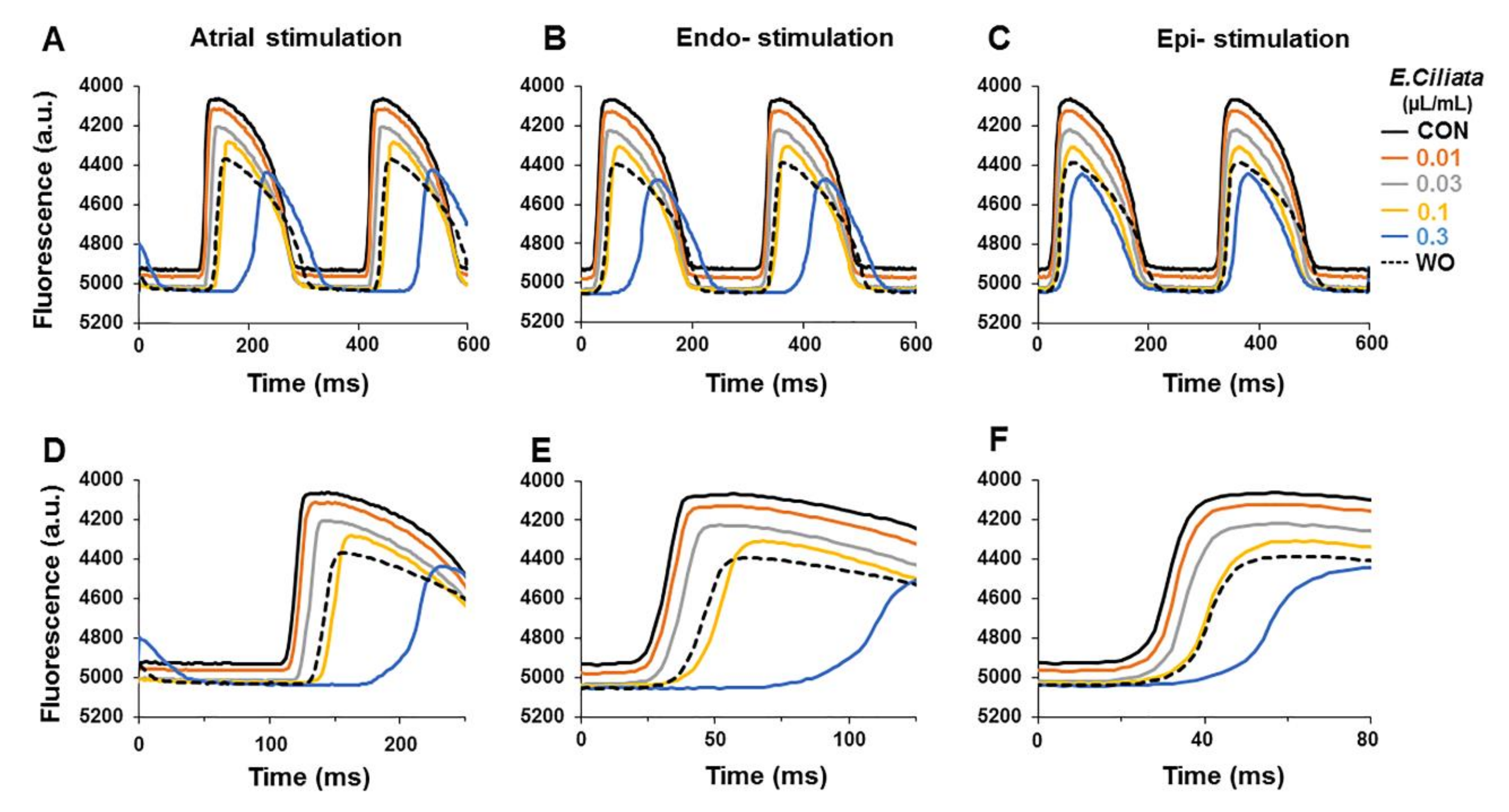 Biomolecules 10 00948 g005