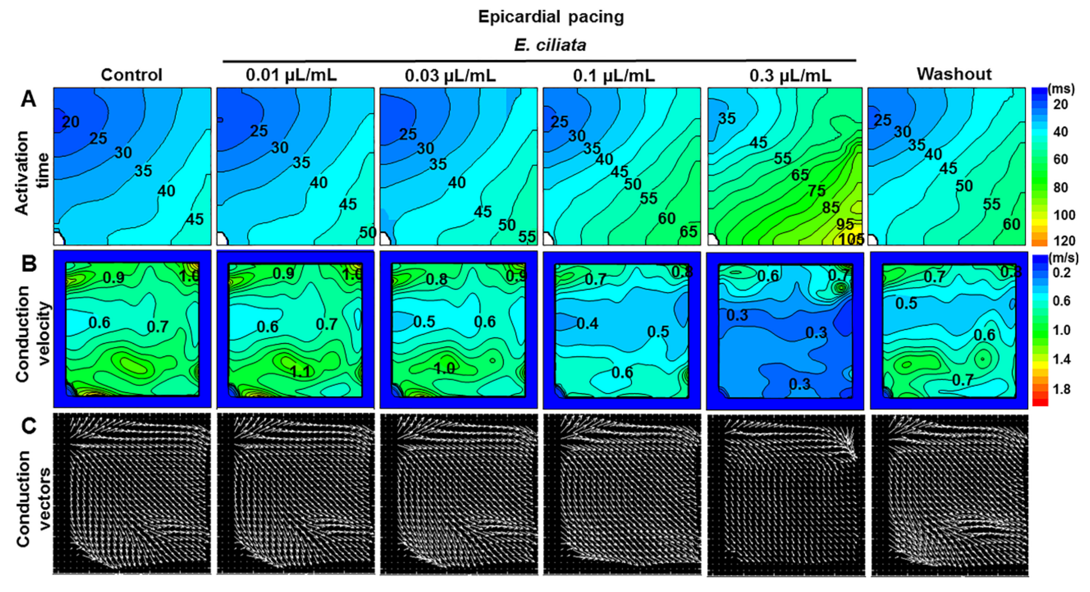Biomolecules 10 00948 g007