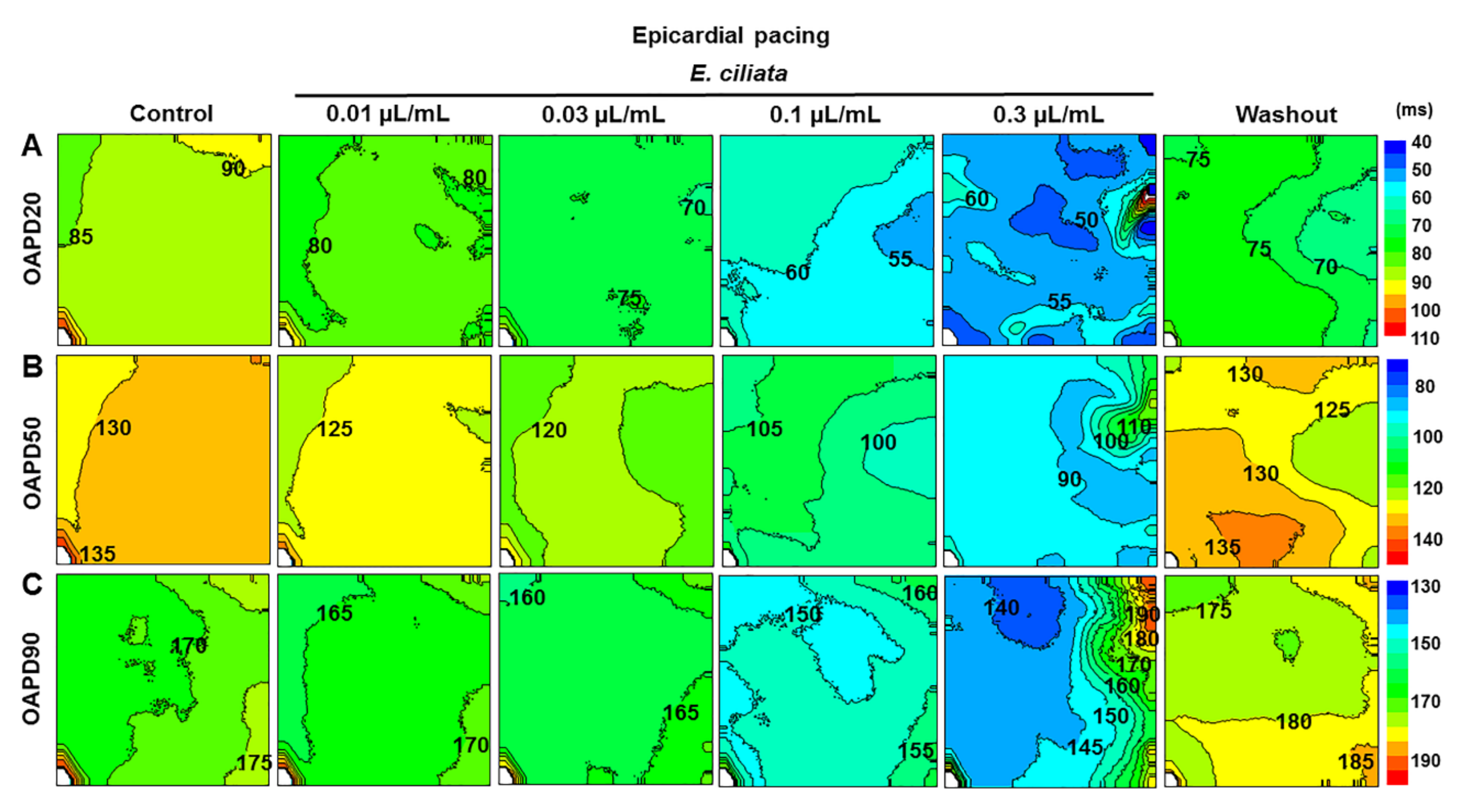 Biomolecules 10 00948 g008