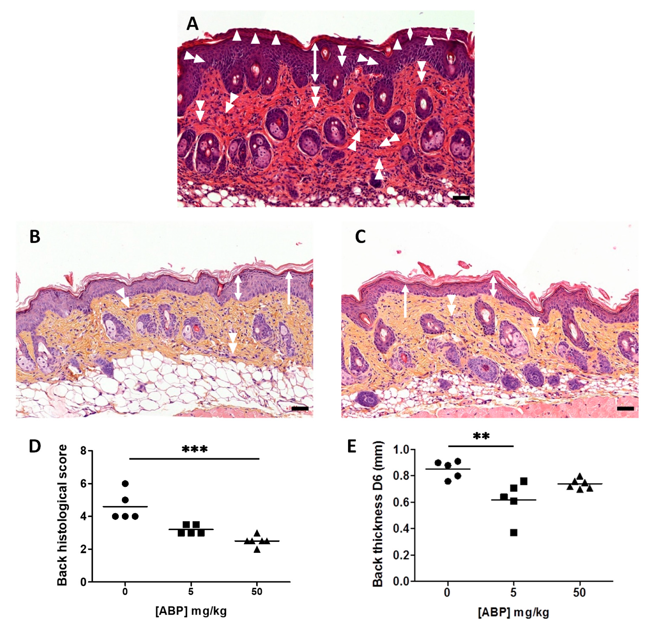 Biomolecules 10 00949 g005 Biomolecules 10 00949 g005