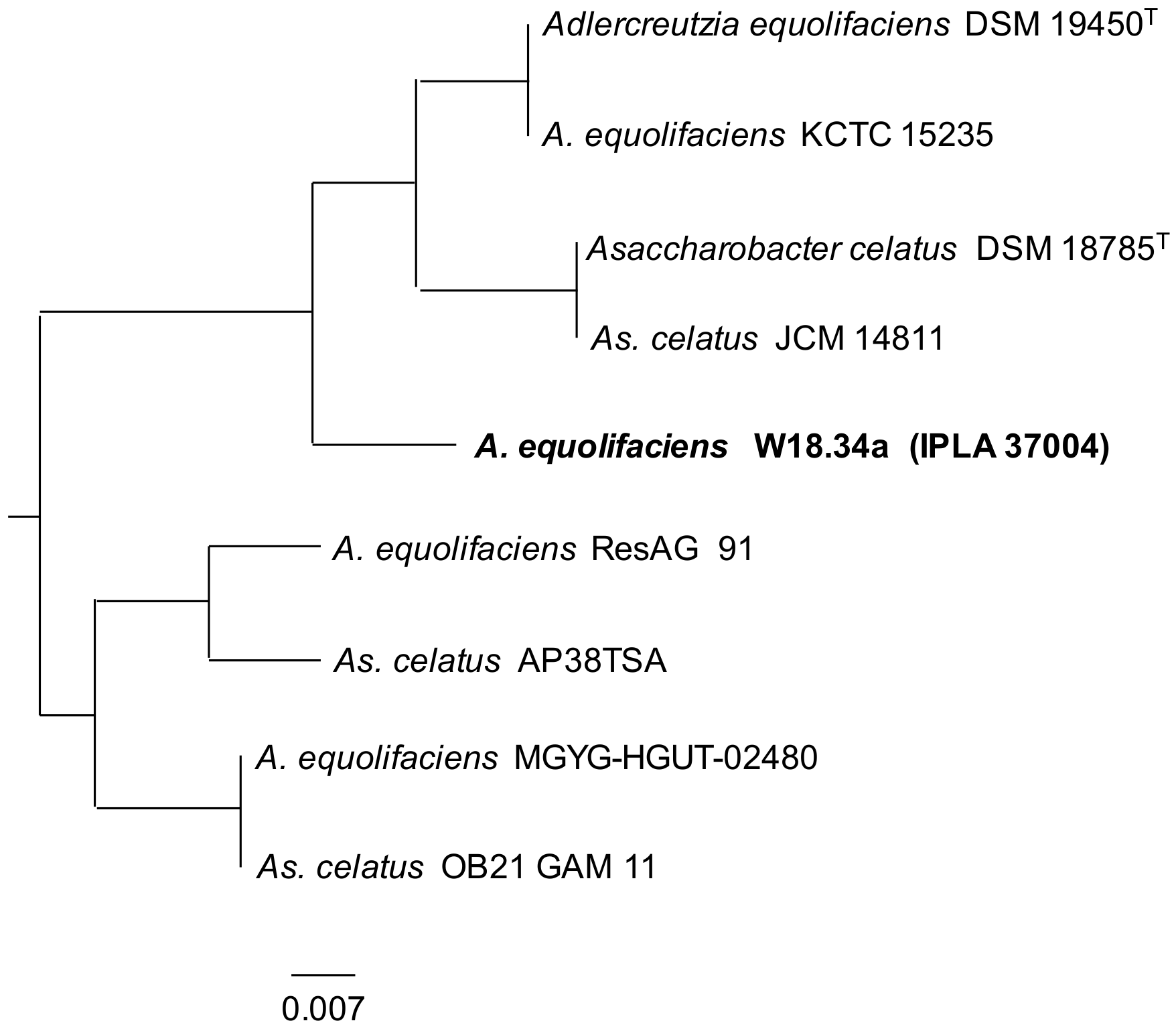 Biomolecules 10 00950 g002 Biomolecules 10 00950 g002