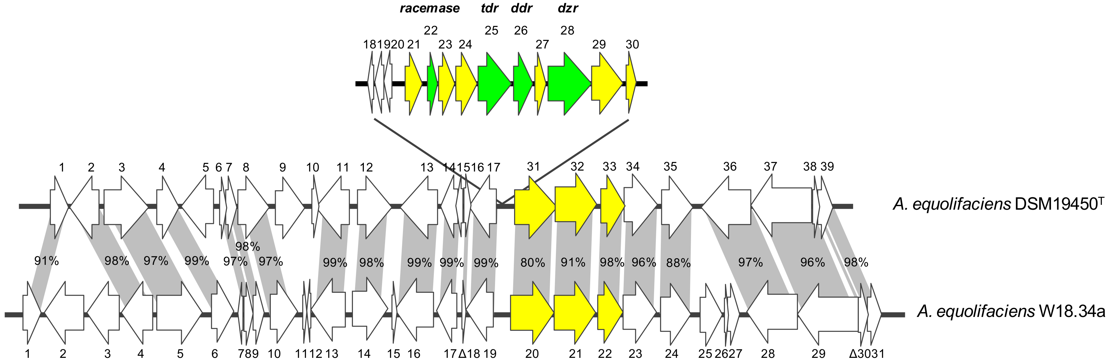 Biomolecules 10 00950 g003 Biomolecules 10 00950 g003