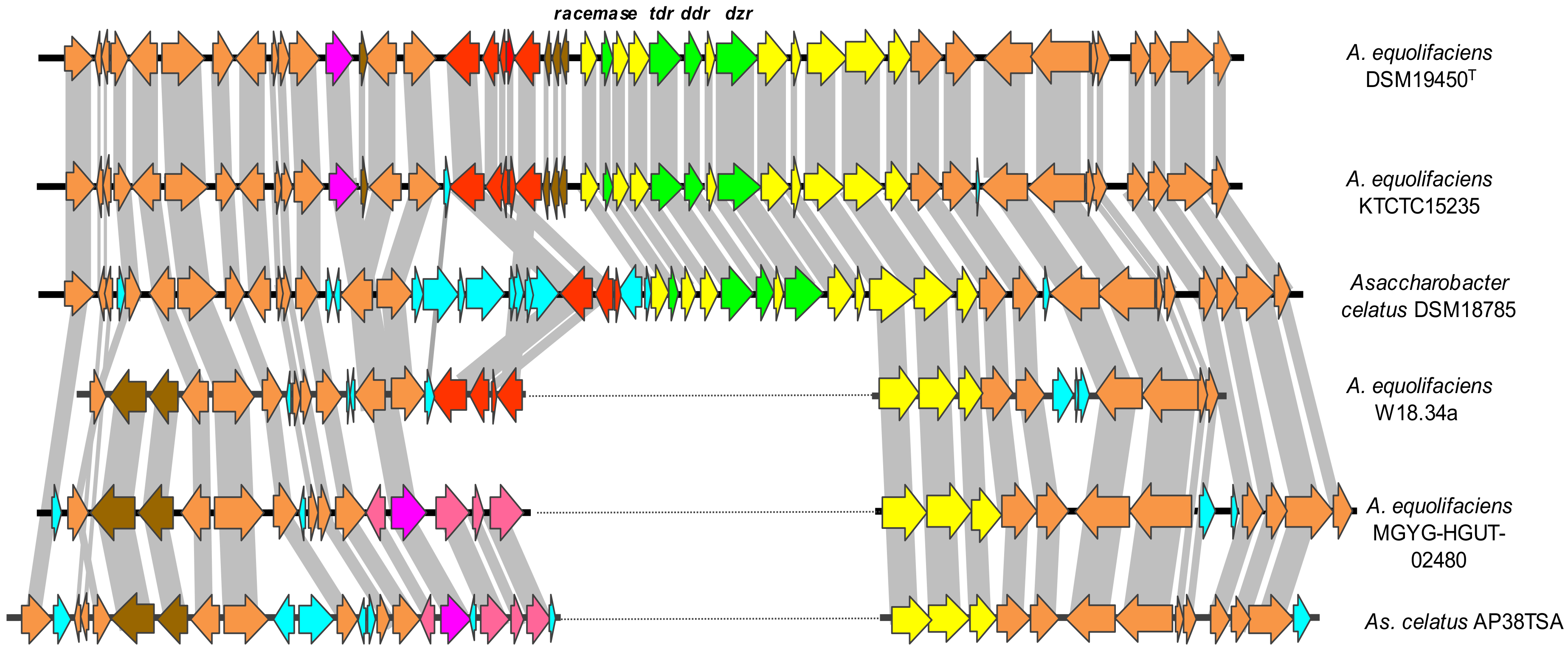 Biomolecules 10 00950 g004 Biomolecules 10 00950 g004