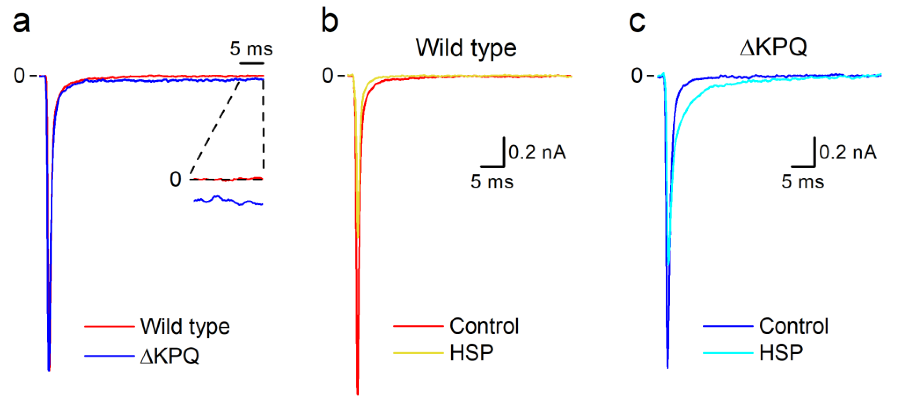 Biomolecules 10 00952 g001 Biomolecules 10 00952 g001