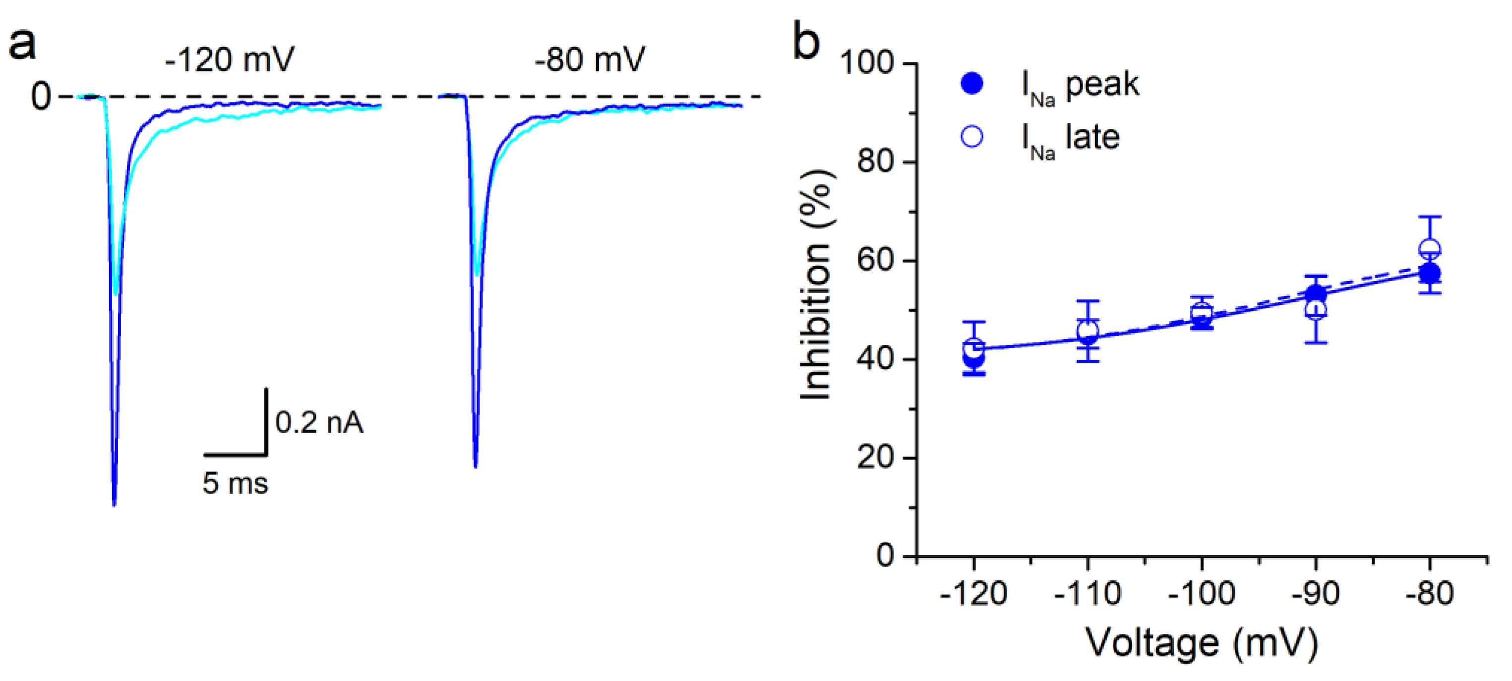Biomolecules 10 00952 g005 Biomolecules 10 00952 g005