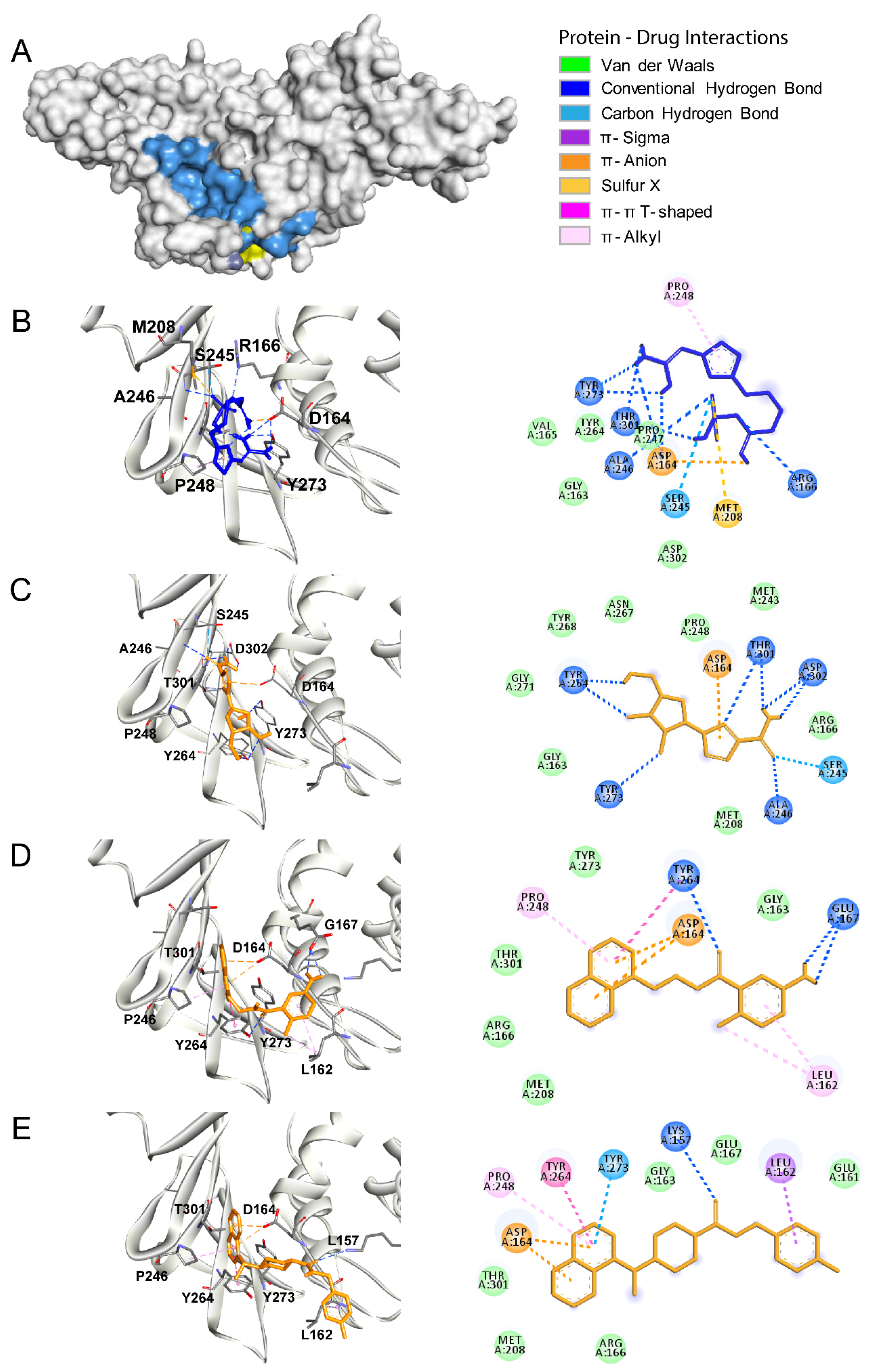Biomolecules 10 00954 g002 Biomolecules 10 00954 g002