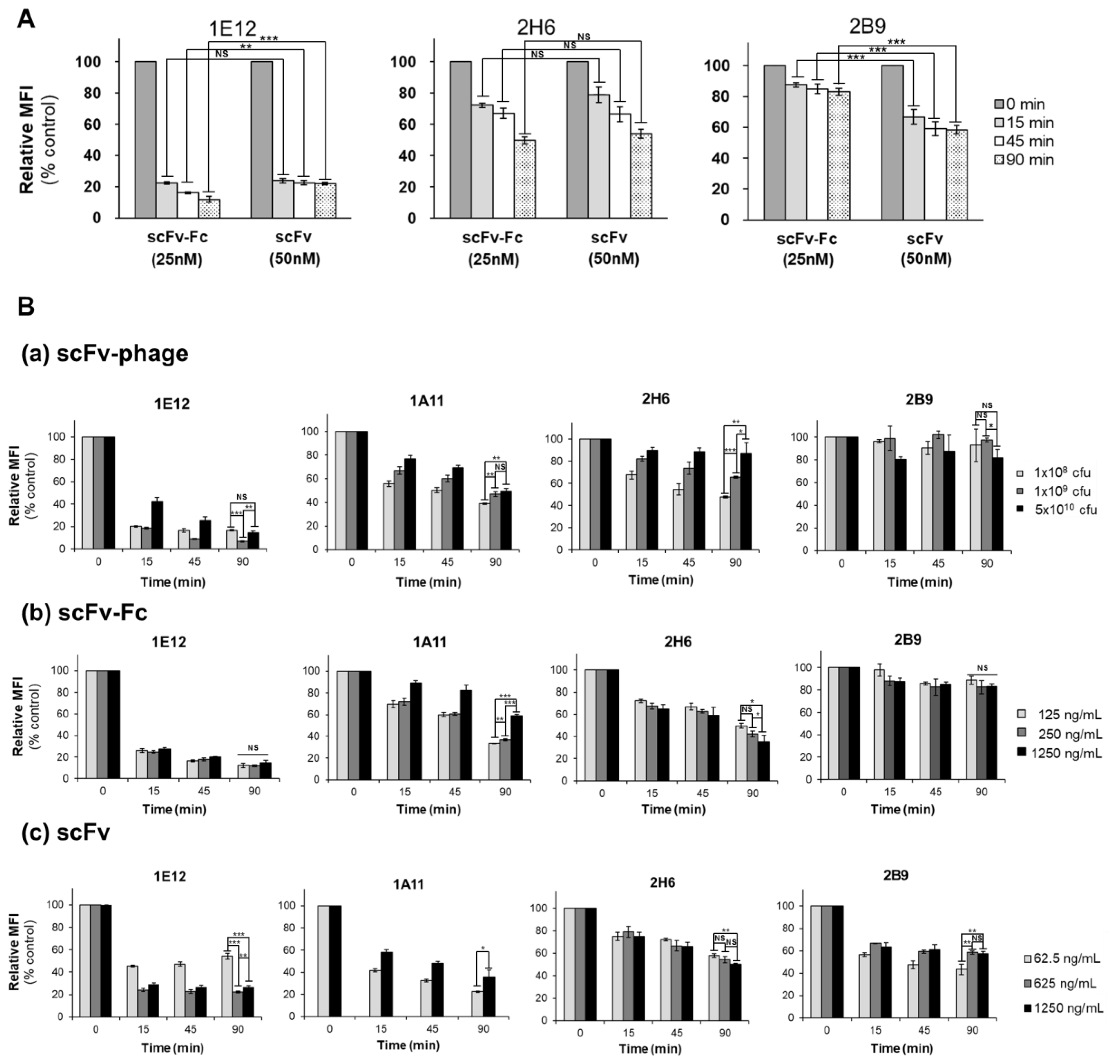 Biomolecules 10 00955 g005