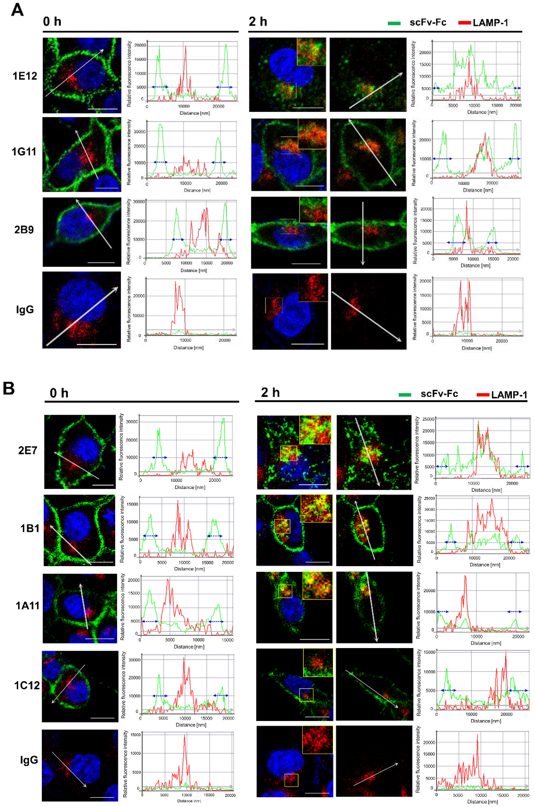 Biomolecules 10 00955 g006
