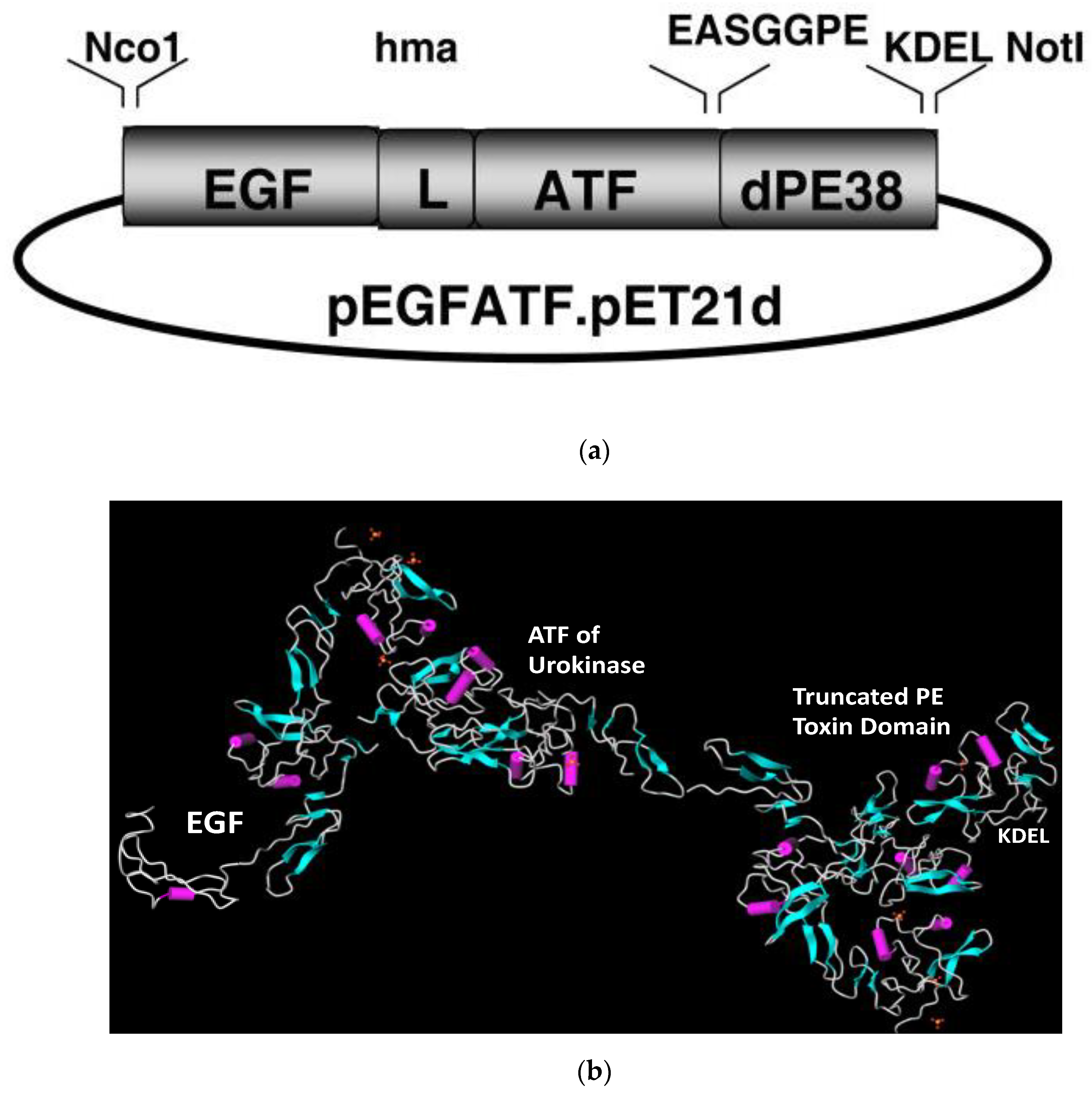 Biomolecules 10 00956 g002 Biomolecules 10 00956 g002